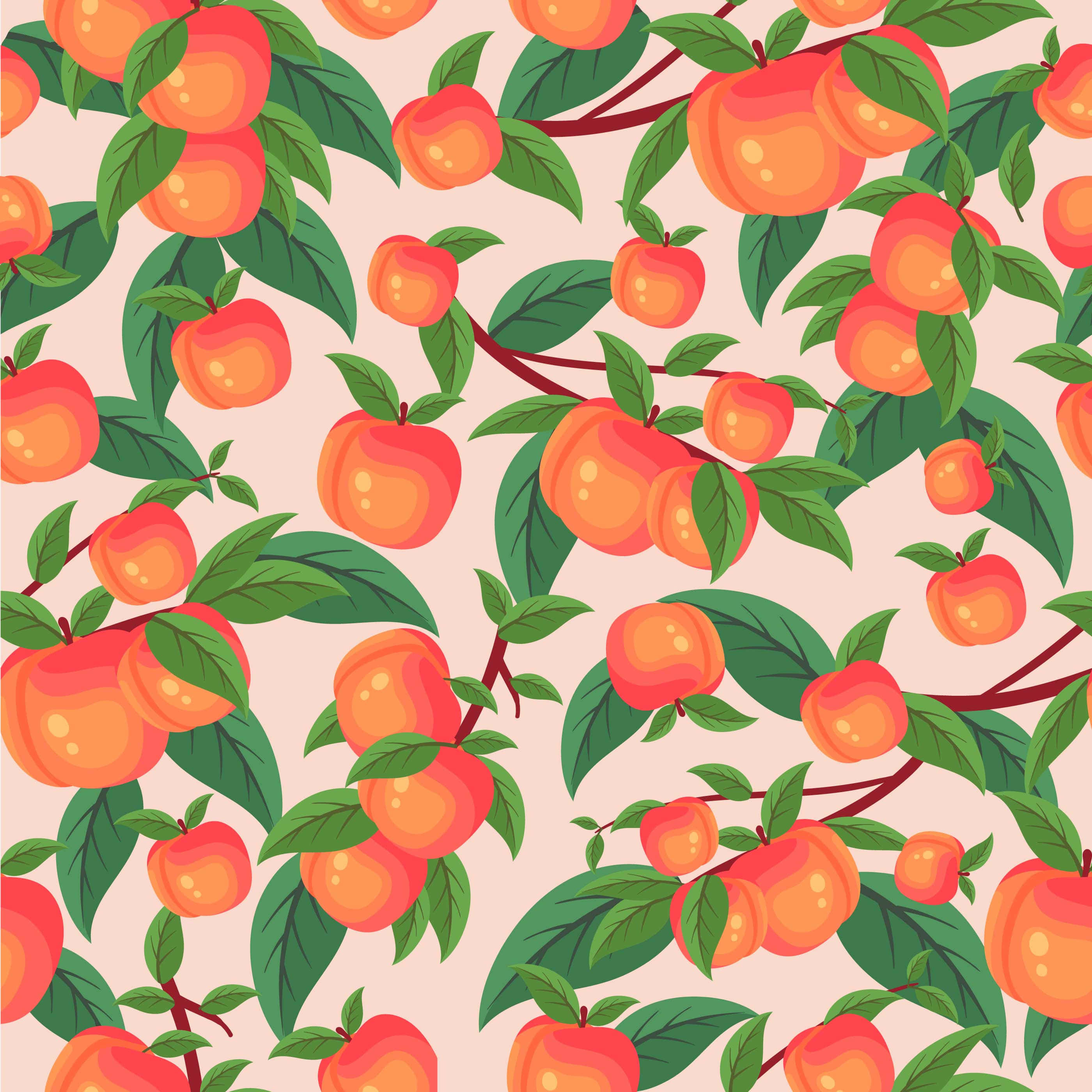 Vintage Peach, apricots, green leaves, 2K Desktop Wallpaper