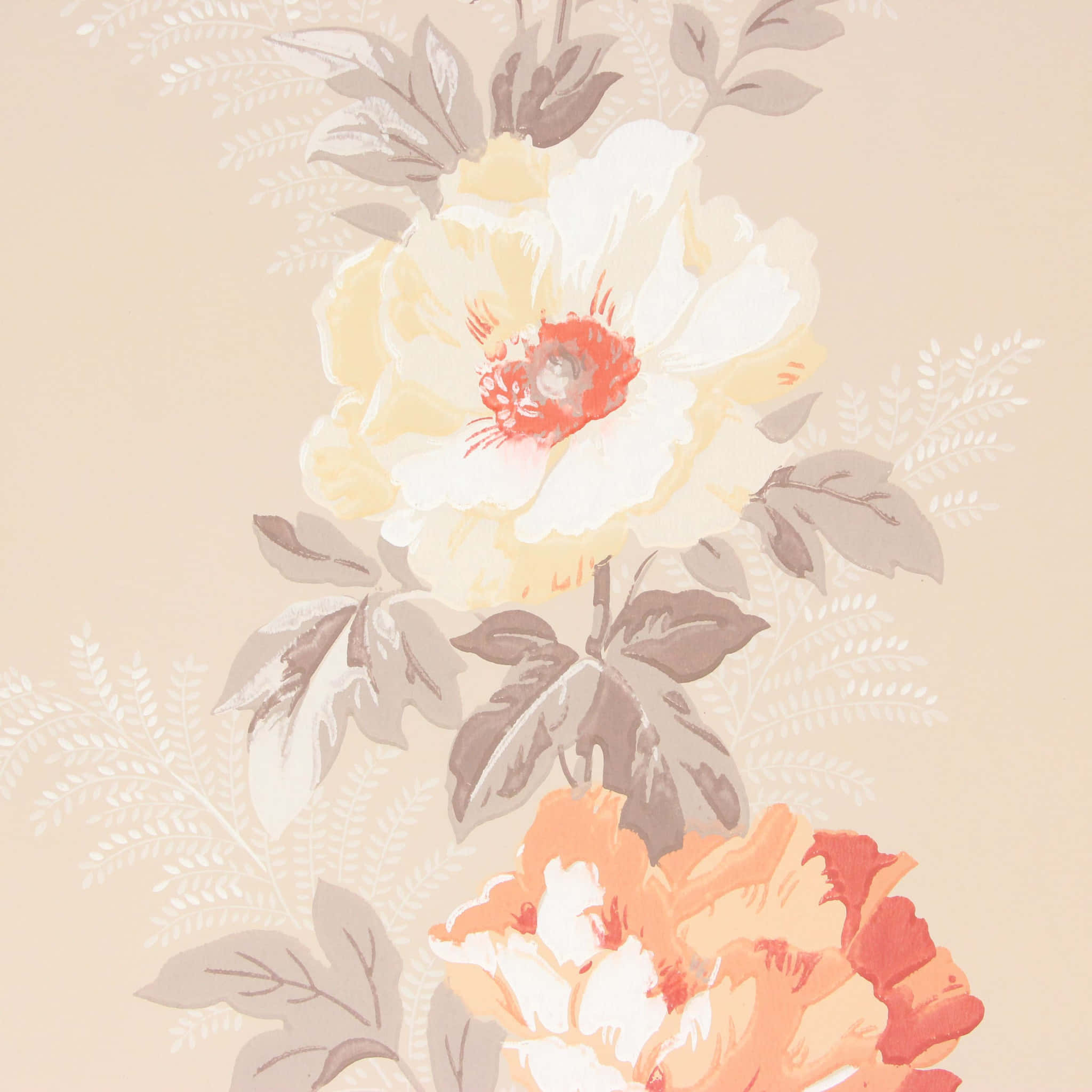 vintage peach, peach cream blooms, muted gray-green leaves, Full HD Desktop Wallpaper
