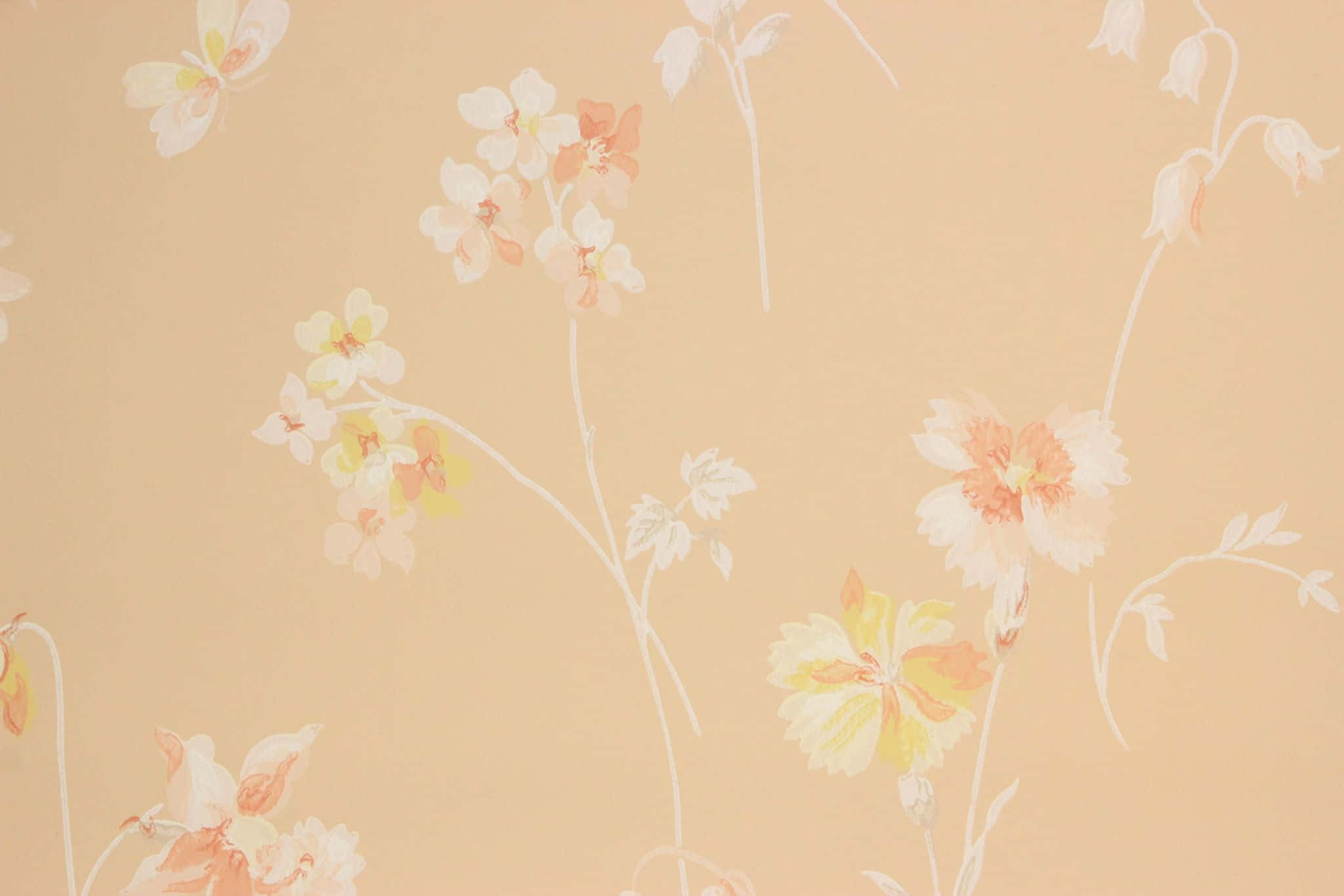 Vintage Peach, peach, white, Full HD Desktop Wallpaper