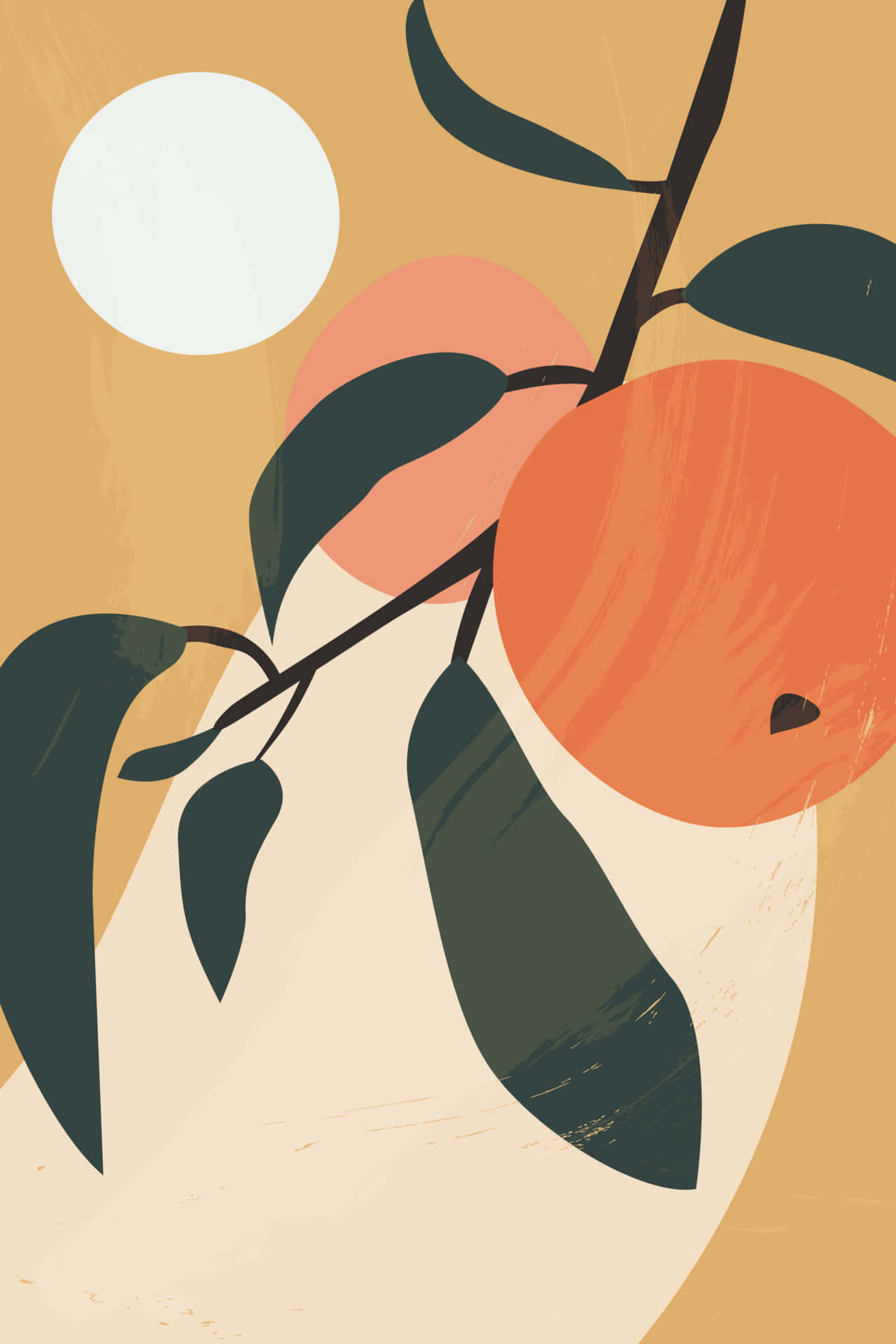 vintage peach, orange fruits, dark leaves, Full HD Phone Wallpaper