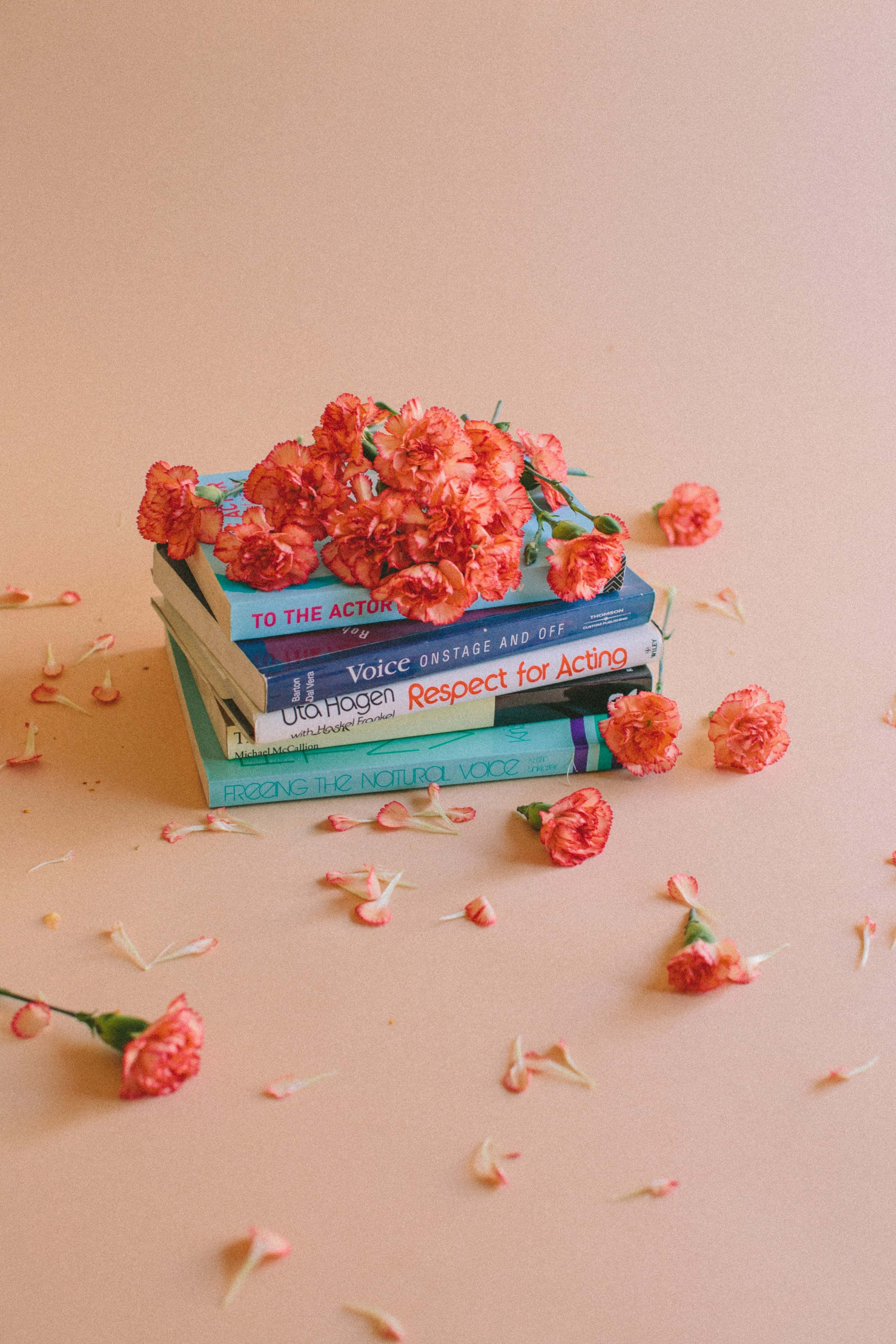 Vintage Peach, coral carnations, peach background, 2K Phone Wallpaper