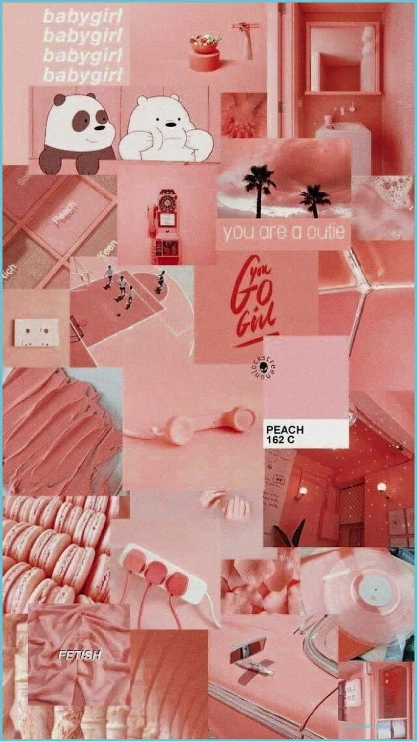 peachy collage aesthetic vibes, cartoon pandas, macarons, HD Phone Wallpaper