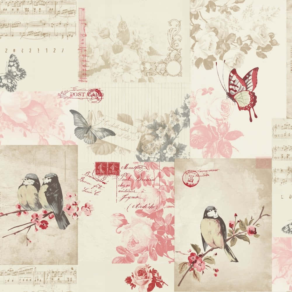 Vintage Postcard Collage, birds, floral, SD Desktop Wallpaper