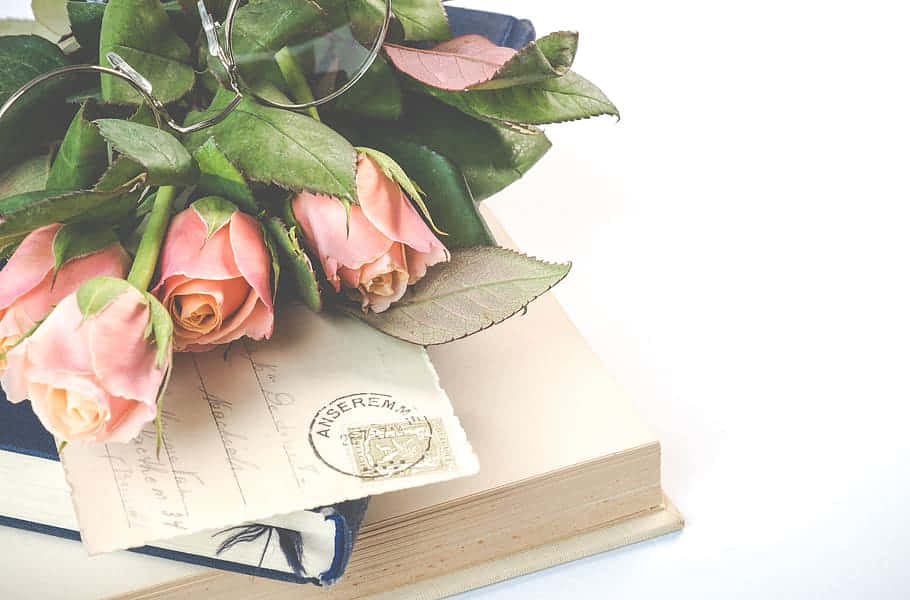 vintage postcard, pink roses, green leaves, SD Desktop Wallpaper