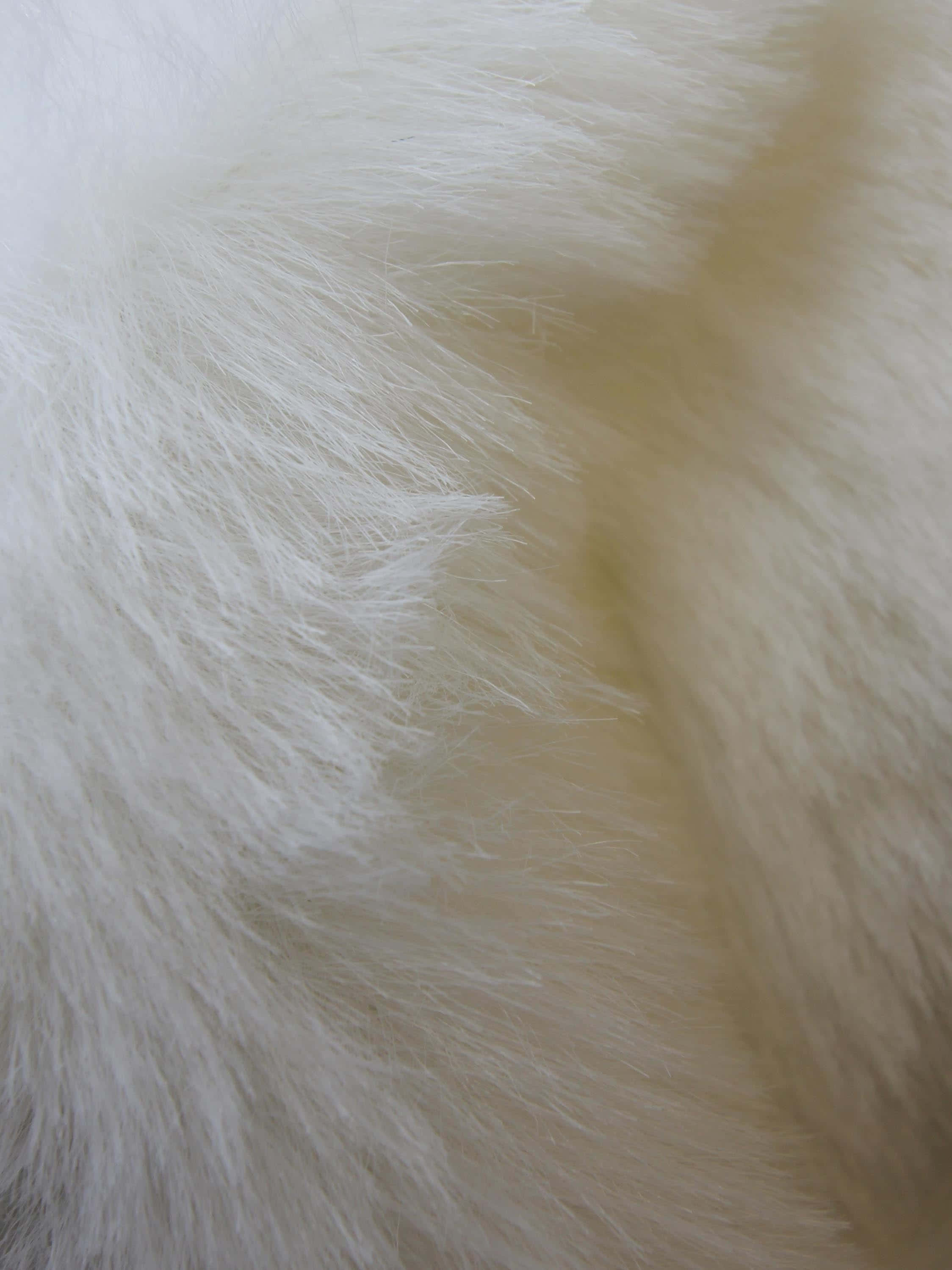 faux fur, white fur, soft fluffy, 2K Phone Wallpaper