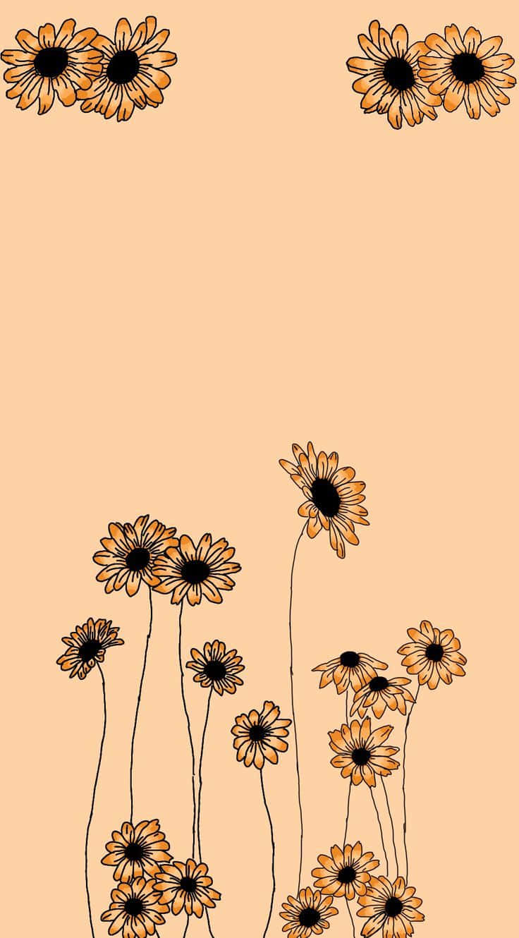Vintage Sunflower, orange daisies, black centers, HD Phone Wallpaper