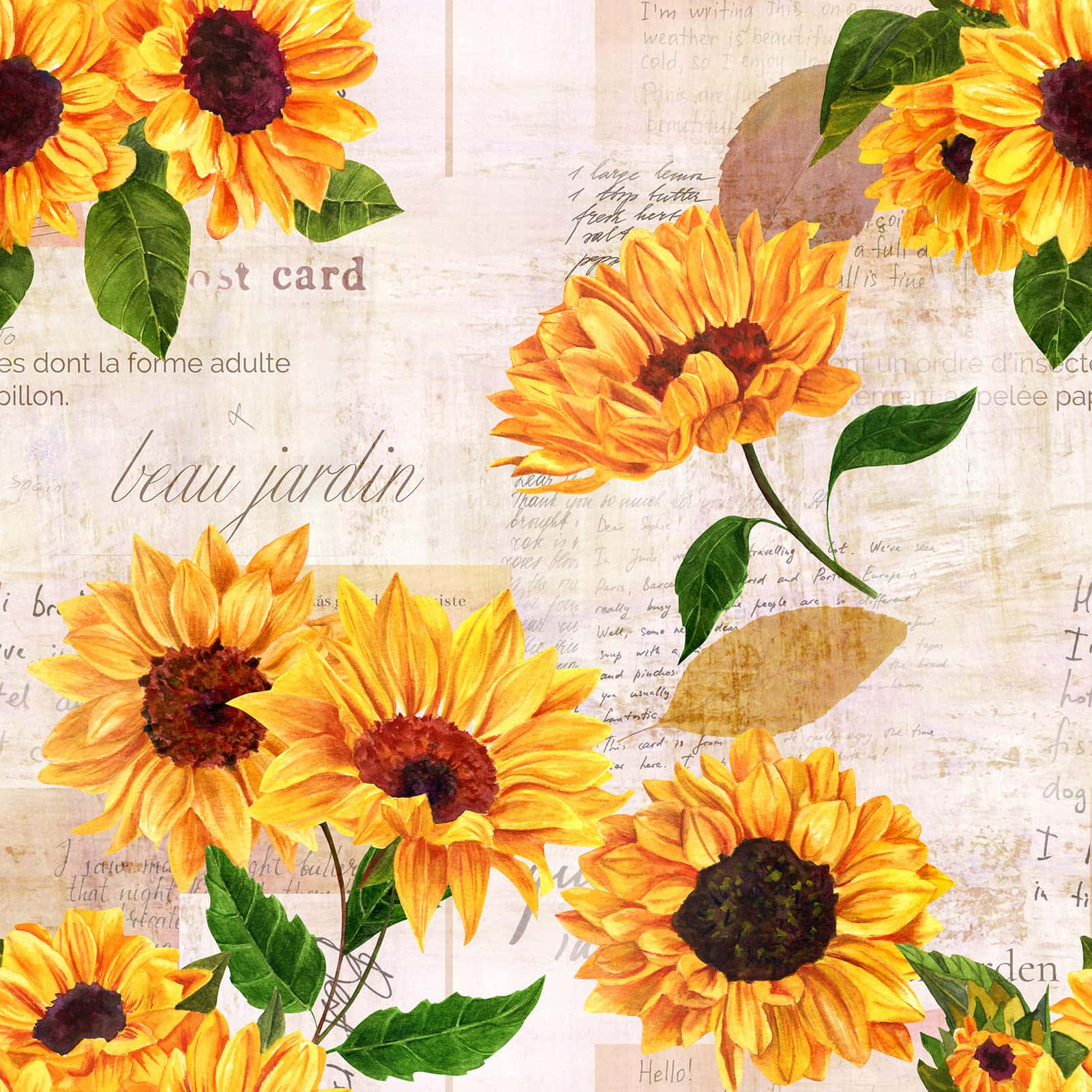 Vintage Sunflower, vintage textured background, faded handwritten script, HD Desktop Wallpaper