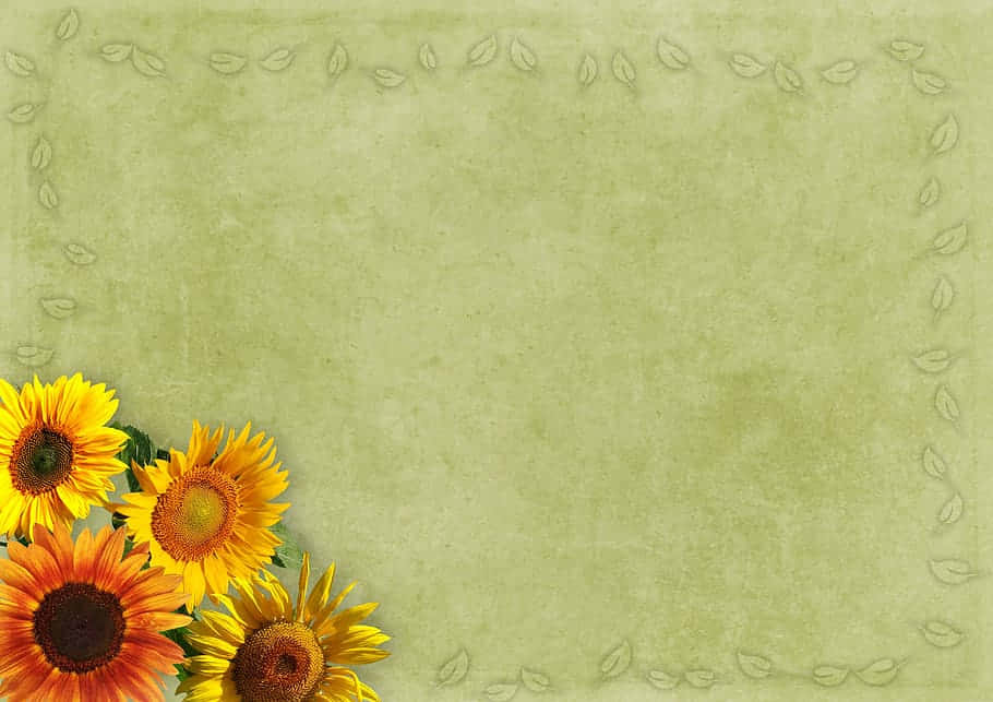 Vintage Sunflower, sage green, textured, SD Desktop Wallpaper