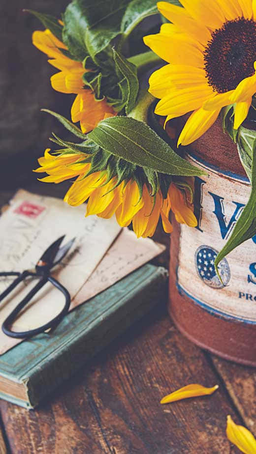 vintage tin, old book, scissors, SD Phone Wallpaper