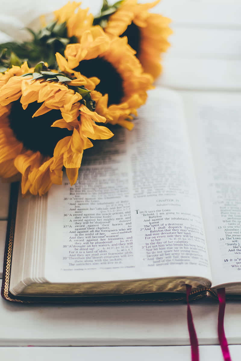 sunflowers, open book, purple ribbon bookmark, SD Phone Wallpaper