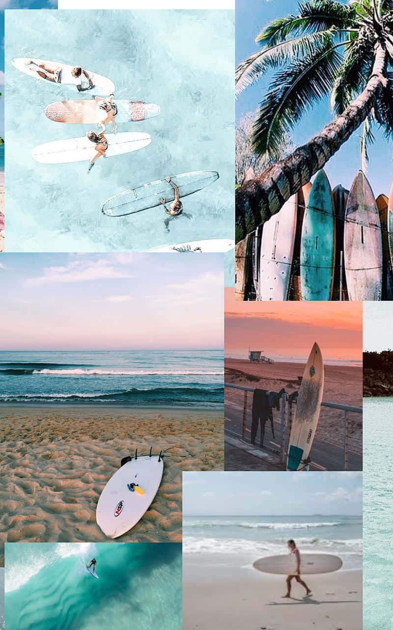surfing lifestyle, turquoise waters, palm trees, HD Phone Wallpaper