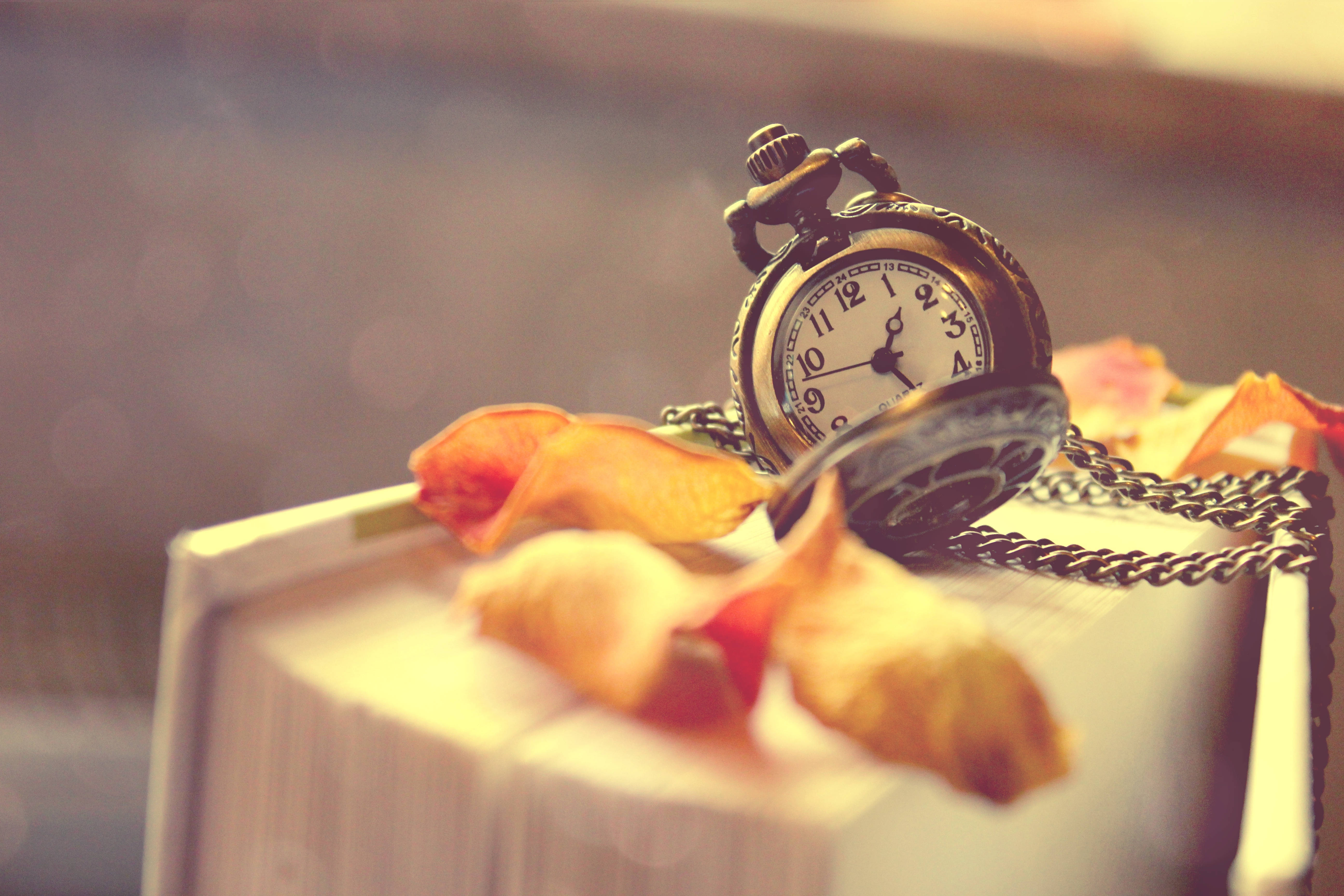 antique pocket watch, book, soft orange rose petals, 5K Desktop Wallpaper