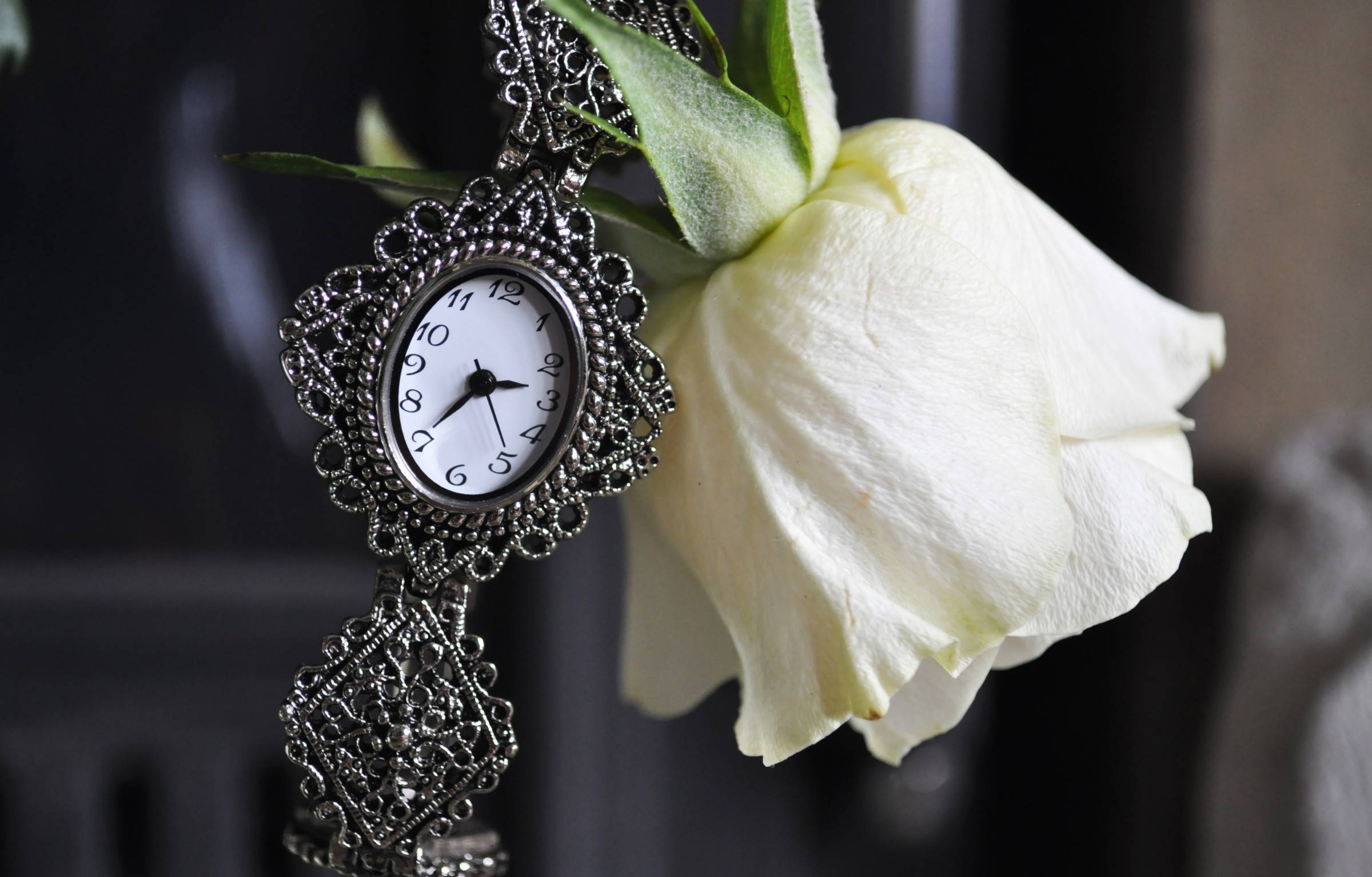 antique pocket watch, white rose, silver pocket watch, Full HD Desktop Wallpaper