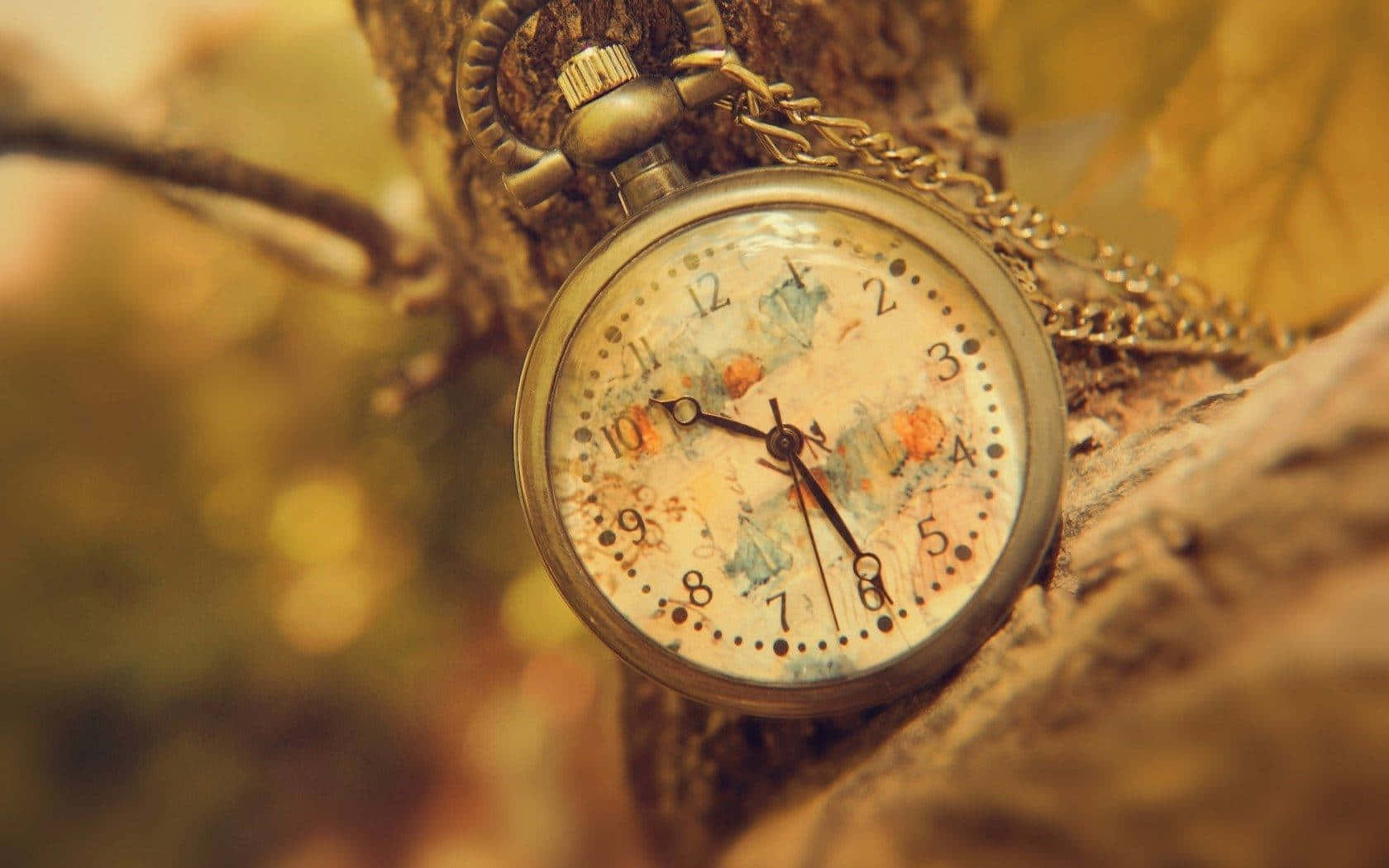 antique pocket watch, floral dial, tree branch, HD Desktop Wallpaper