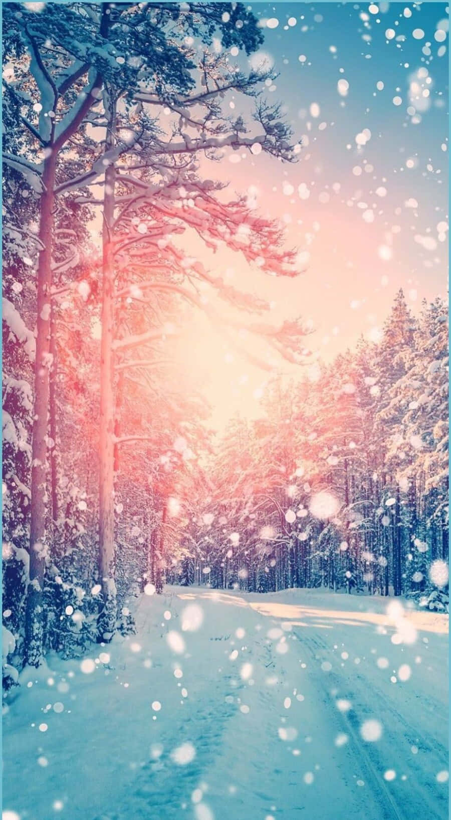 snowy forest path, warm sunset light, falling snowflakes, HD Phone Wallpaper