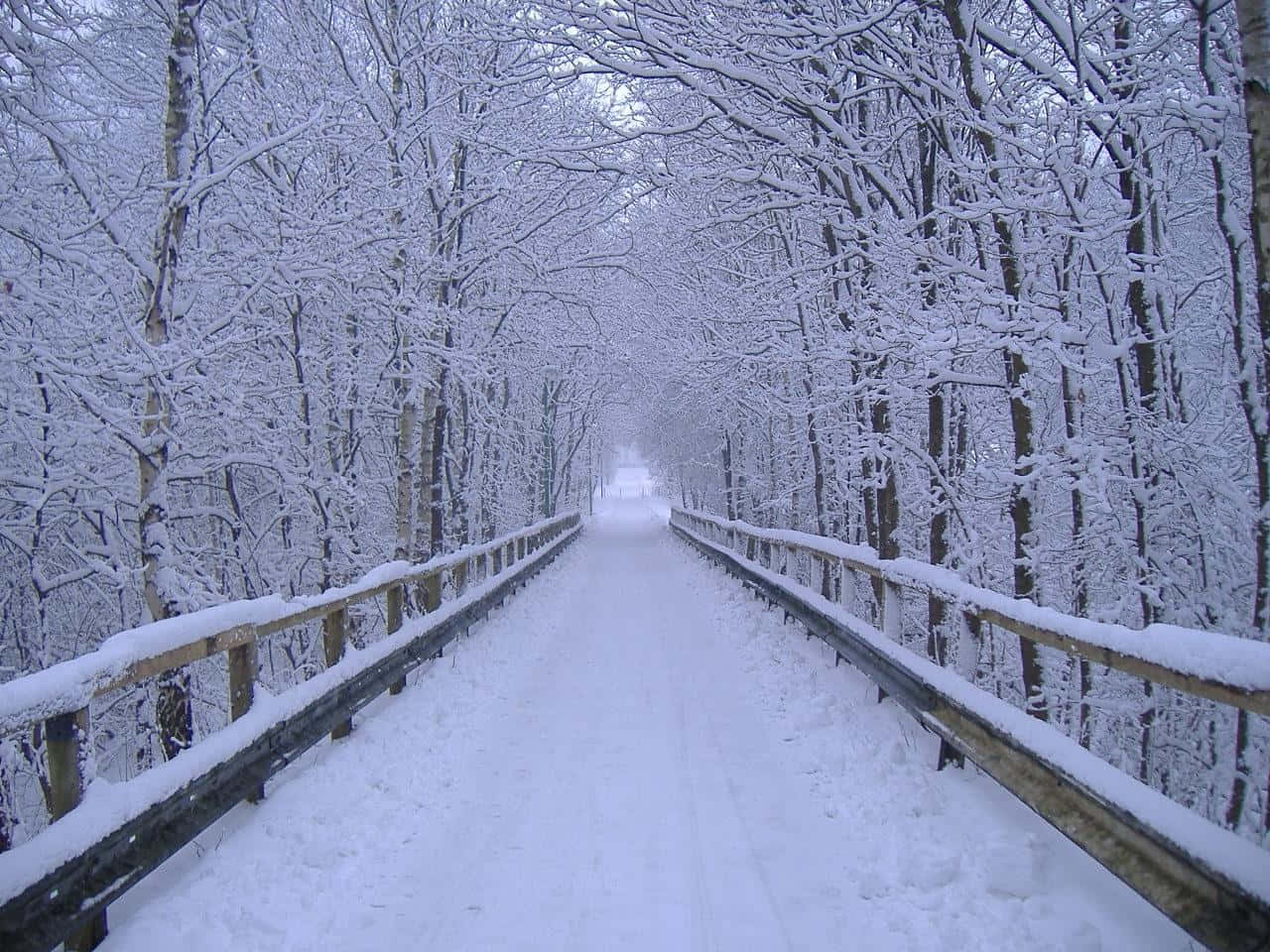 snow-covered wooden bridge, serene winter forest, bare trees draped in white, HD Desktop Wallpaper