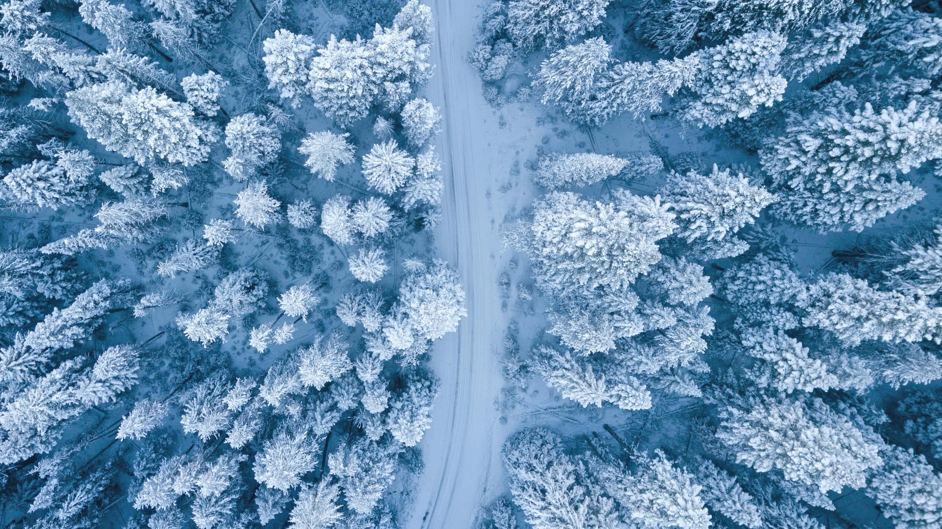 Winter Forest Aerial View, winding road, dense forest, 2K Desktop Wallpaper