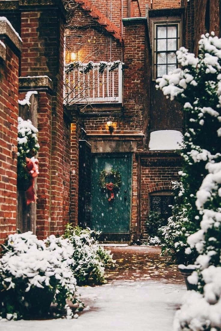 teal door, festive wreath, glowing lanterns, SD Phone Wallpaper