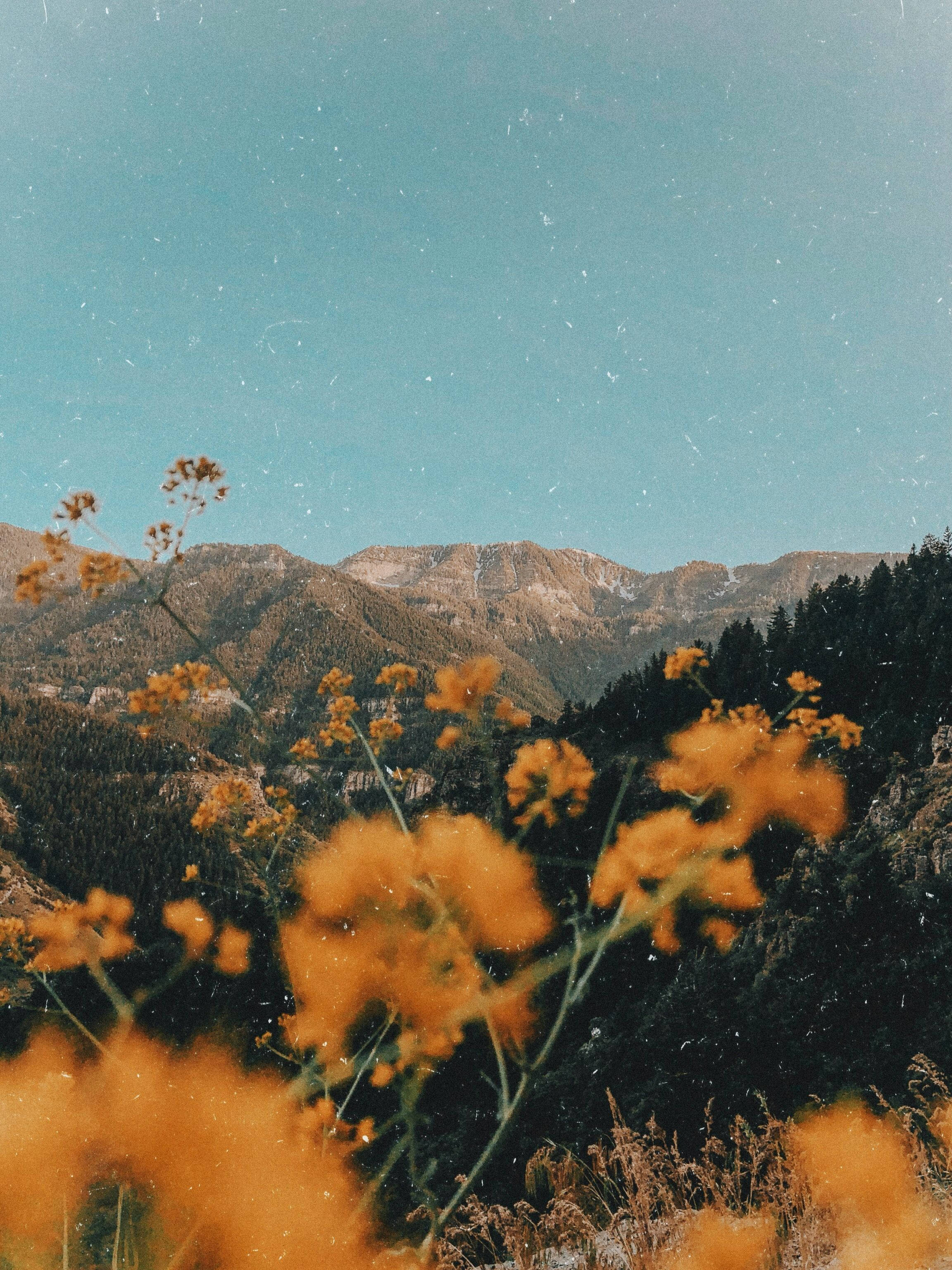 Vintage, iPad, mountain, 2K Phone Wallpaper