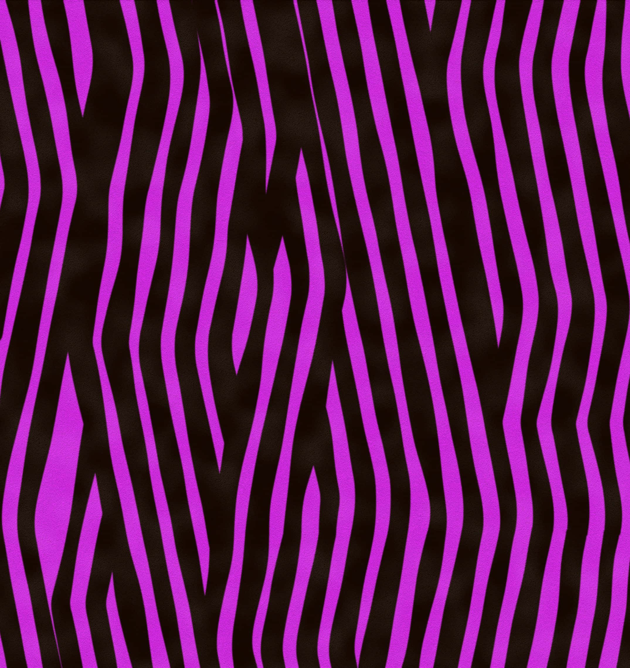 Violet, zebra, vibrant purple, Full HD Phone Wallpaper