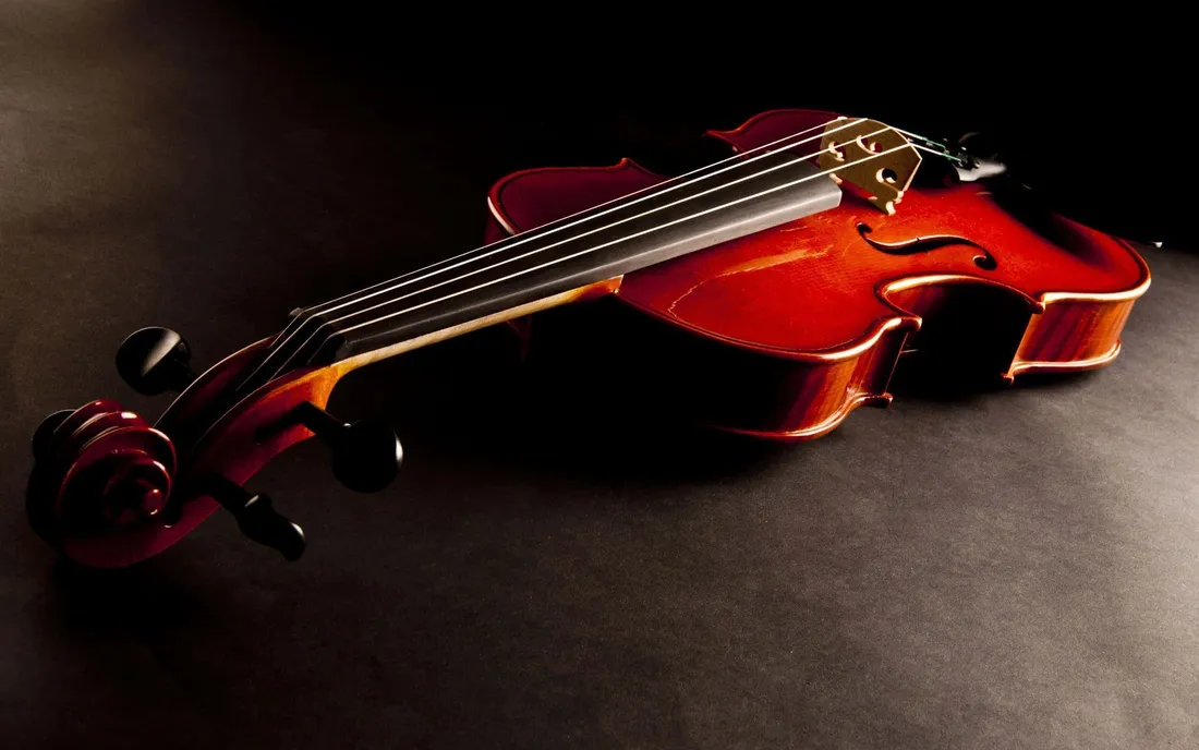 Violin