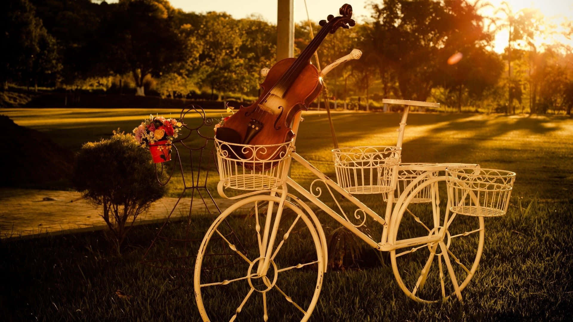 violin, vintage white bicycle, ornate wire baskets, Full HD Desktop Wallpaper