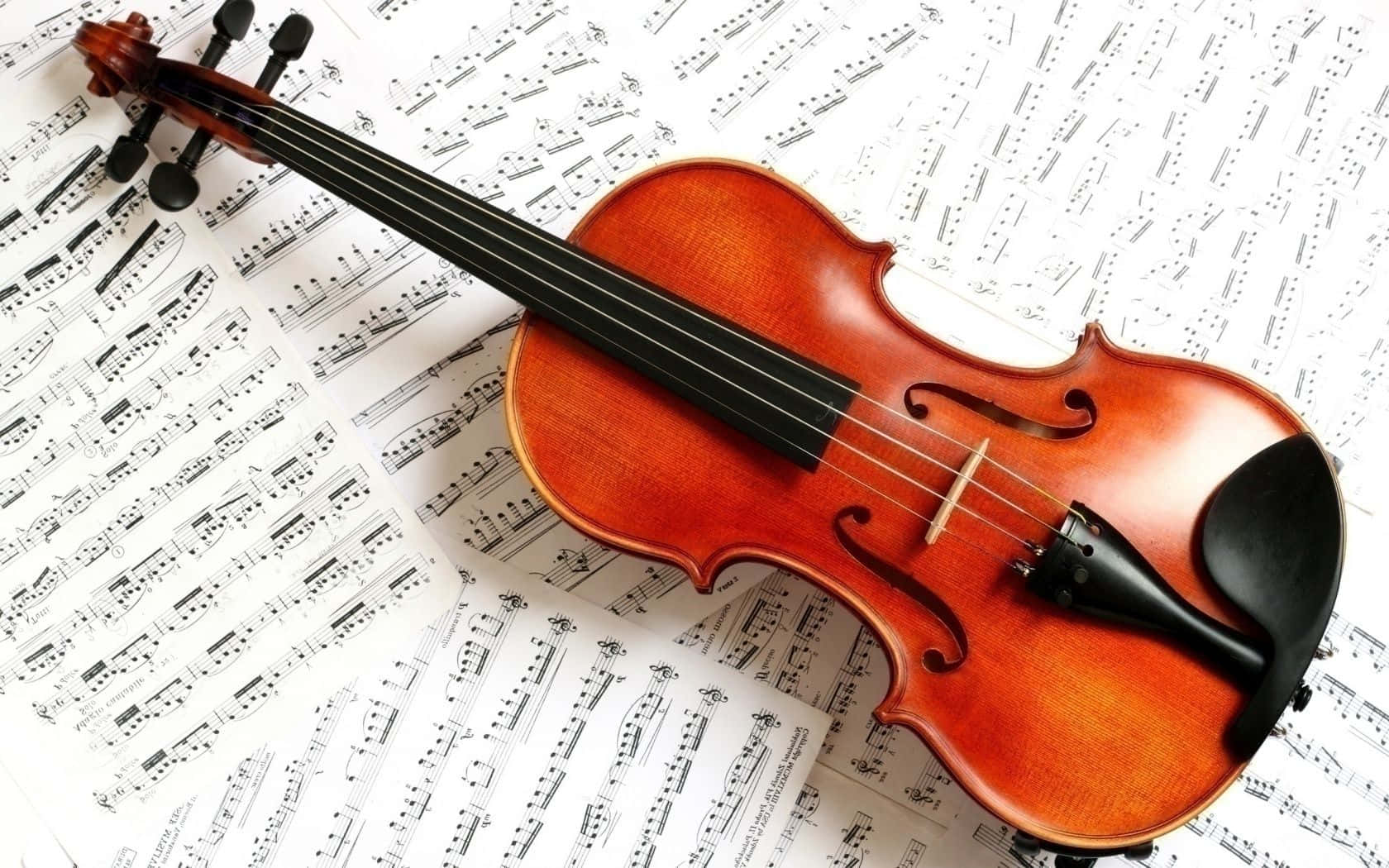 Violin, musical sheets, warm, HD Desktop Wallpaper