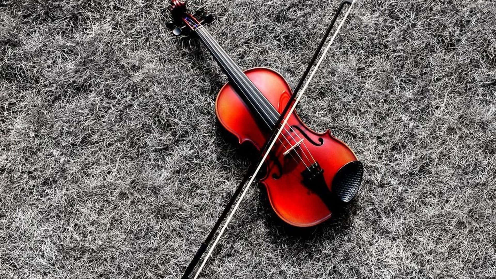 Violin, vibrant red, textured gray shag carpet, Full HD Desktop Wallpaper
