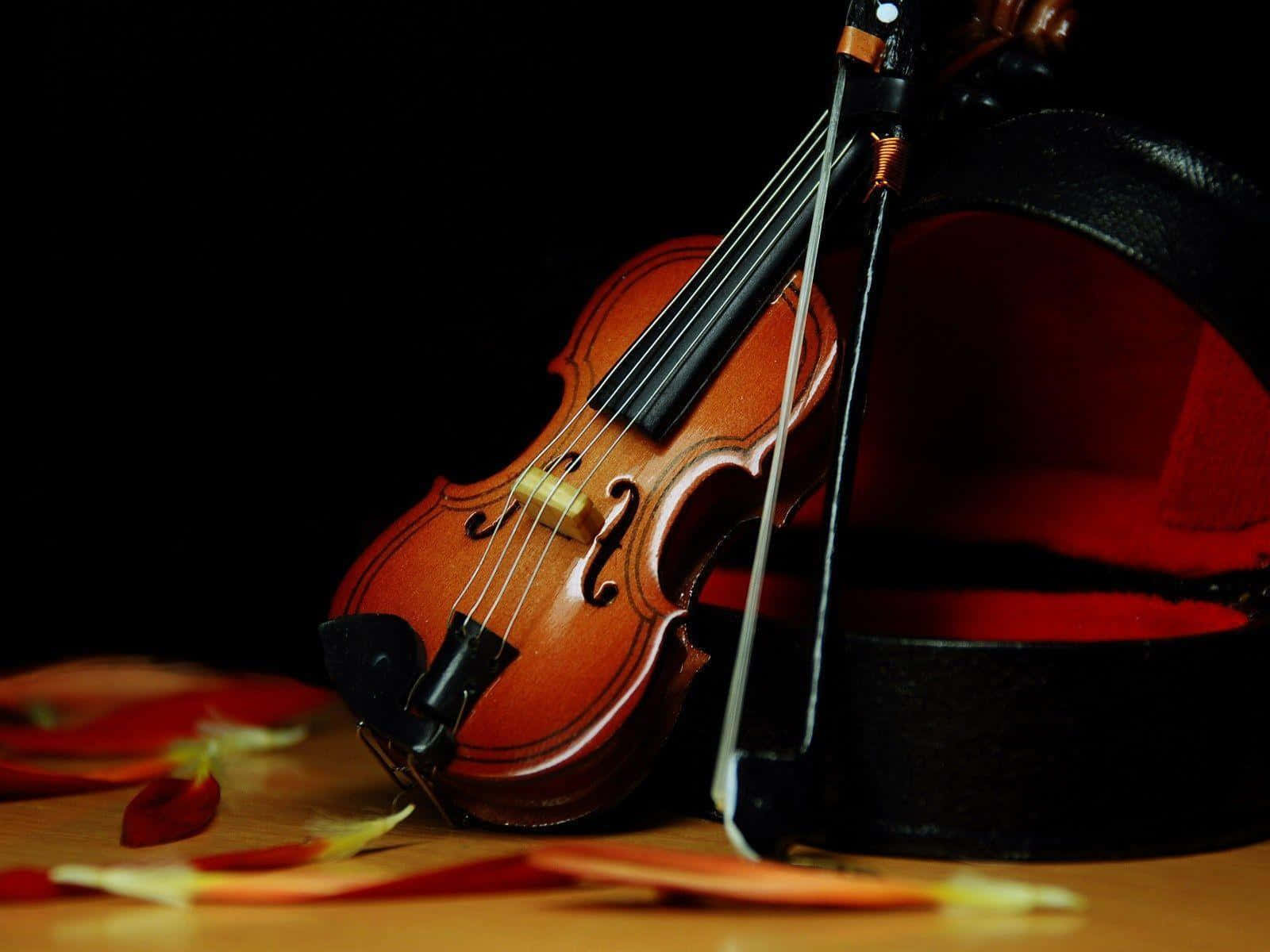 violin, bow, open case, HD Desktop Wallpaper
