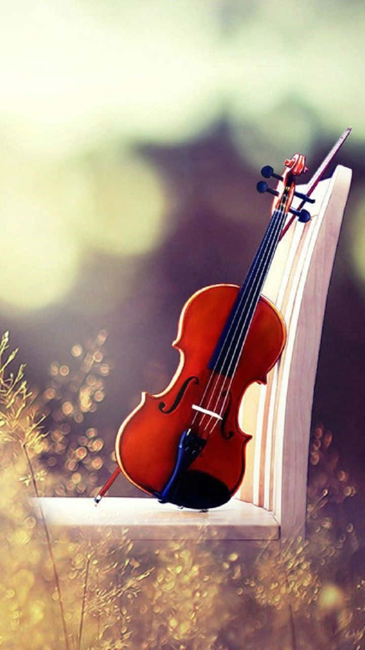 violin, wooden chair, golden sunlit grass, HD Phone Wallpaper