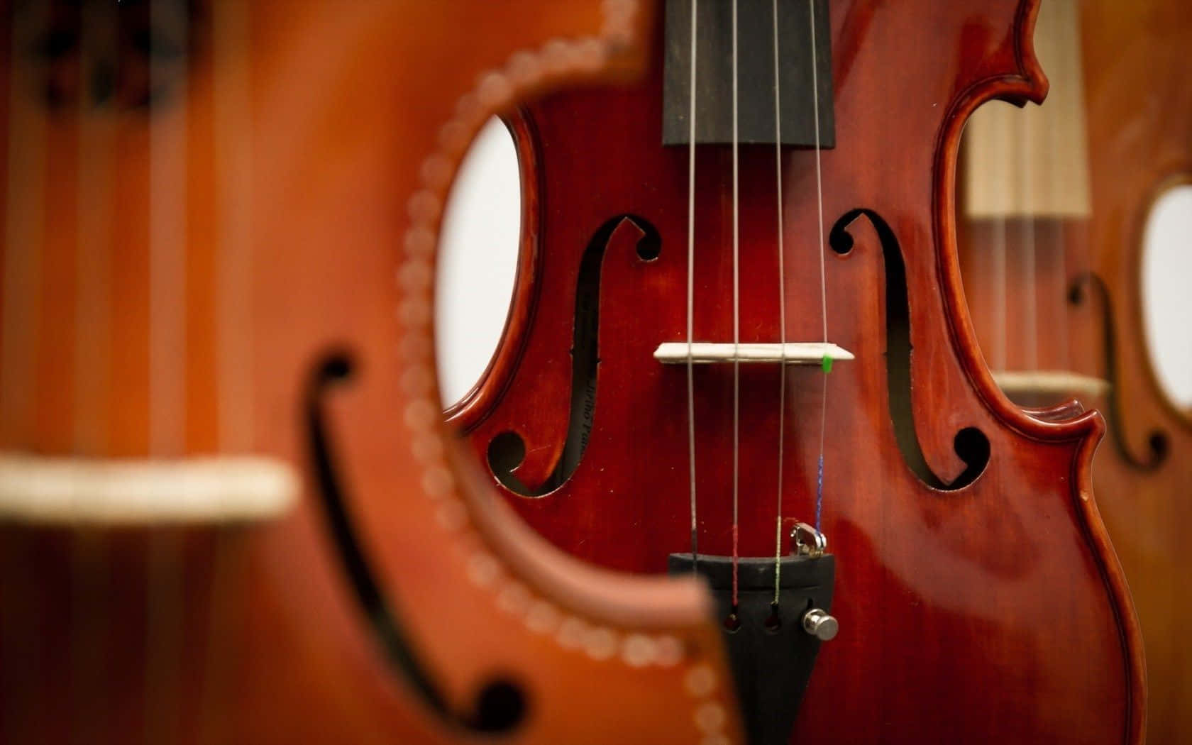 violin, f-holes, strings, HD Desktop Wallpaper