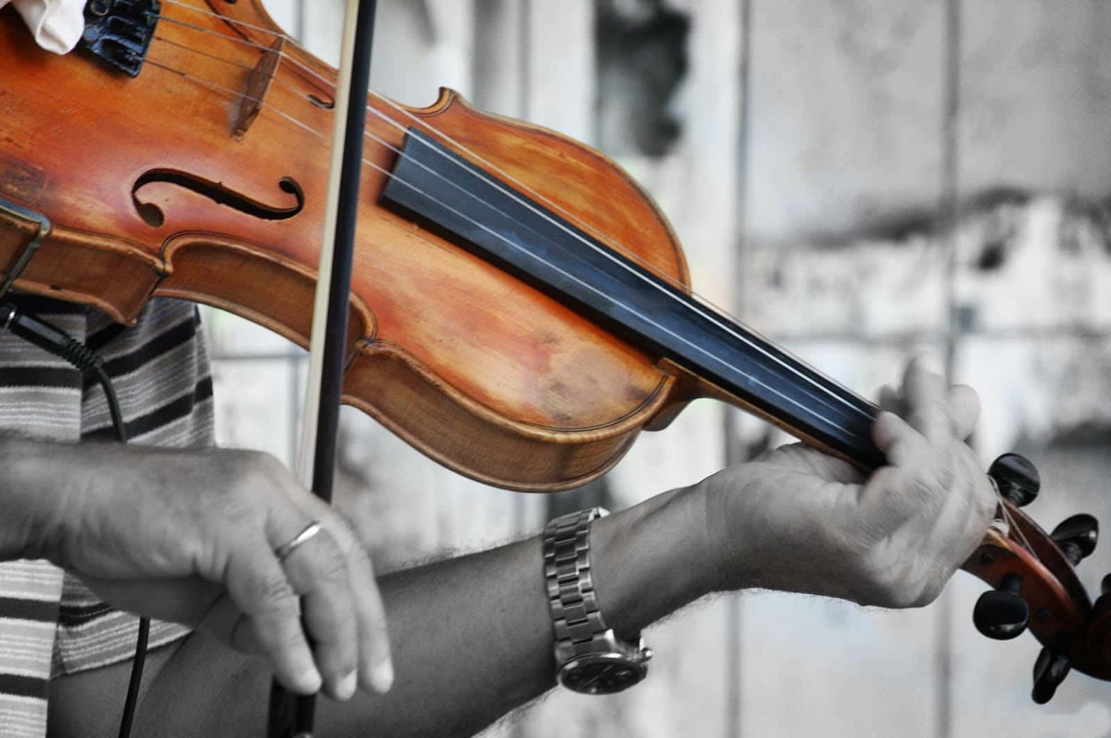 violin, wooden, sunlit, HD Desktop Wallpaper