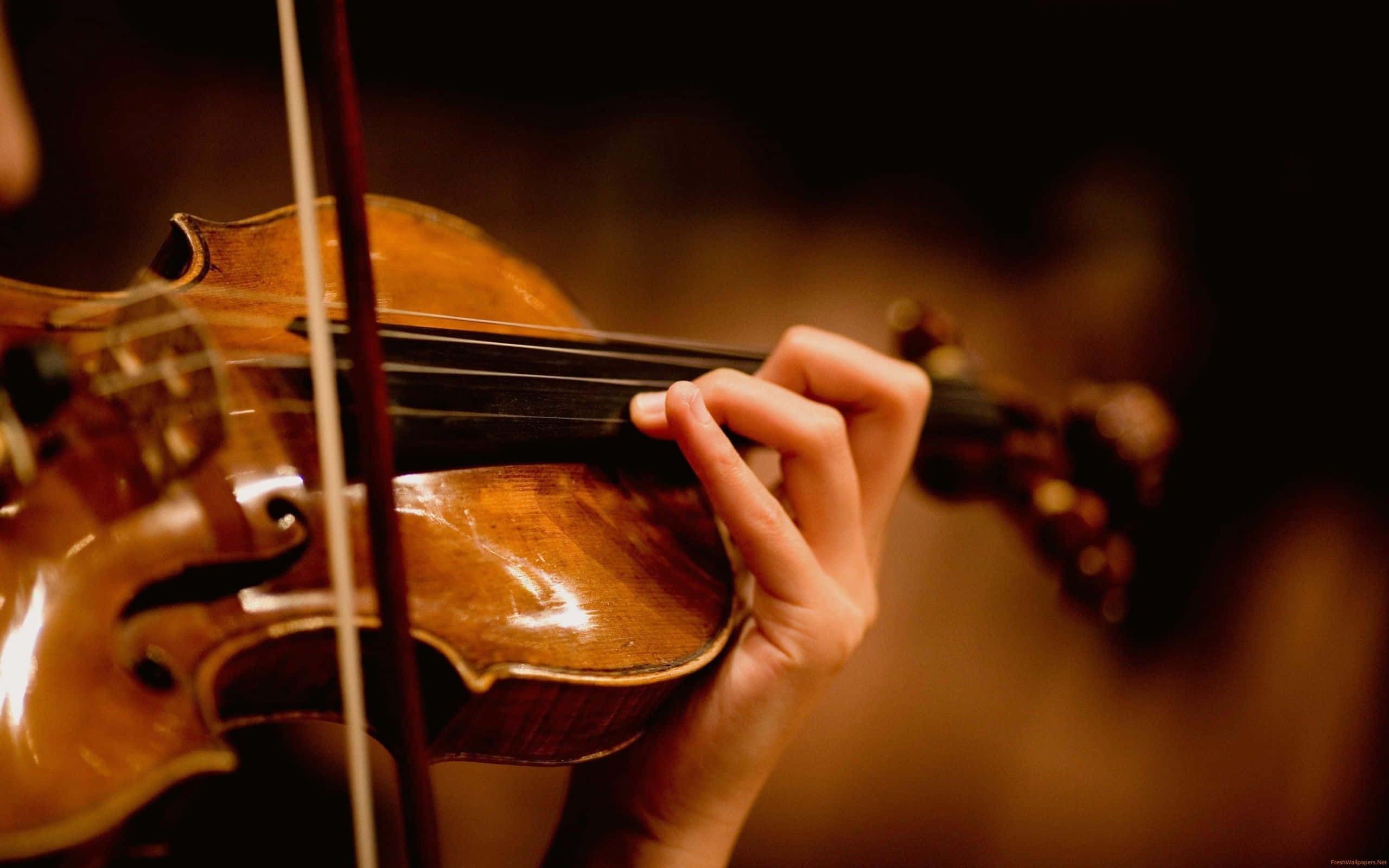 violin, wooden, warmly lit, 2K Desktop Wallpaper