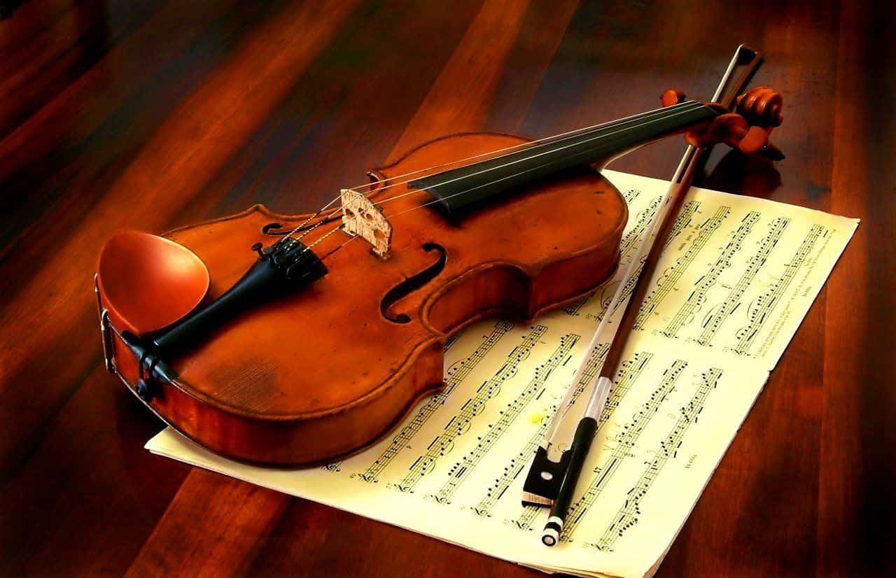 Violin, Wooden Chordophone, Bow, HD Desktop Wallpaper