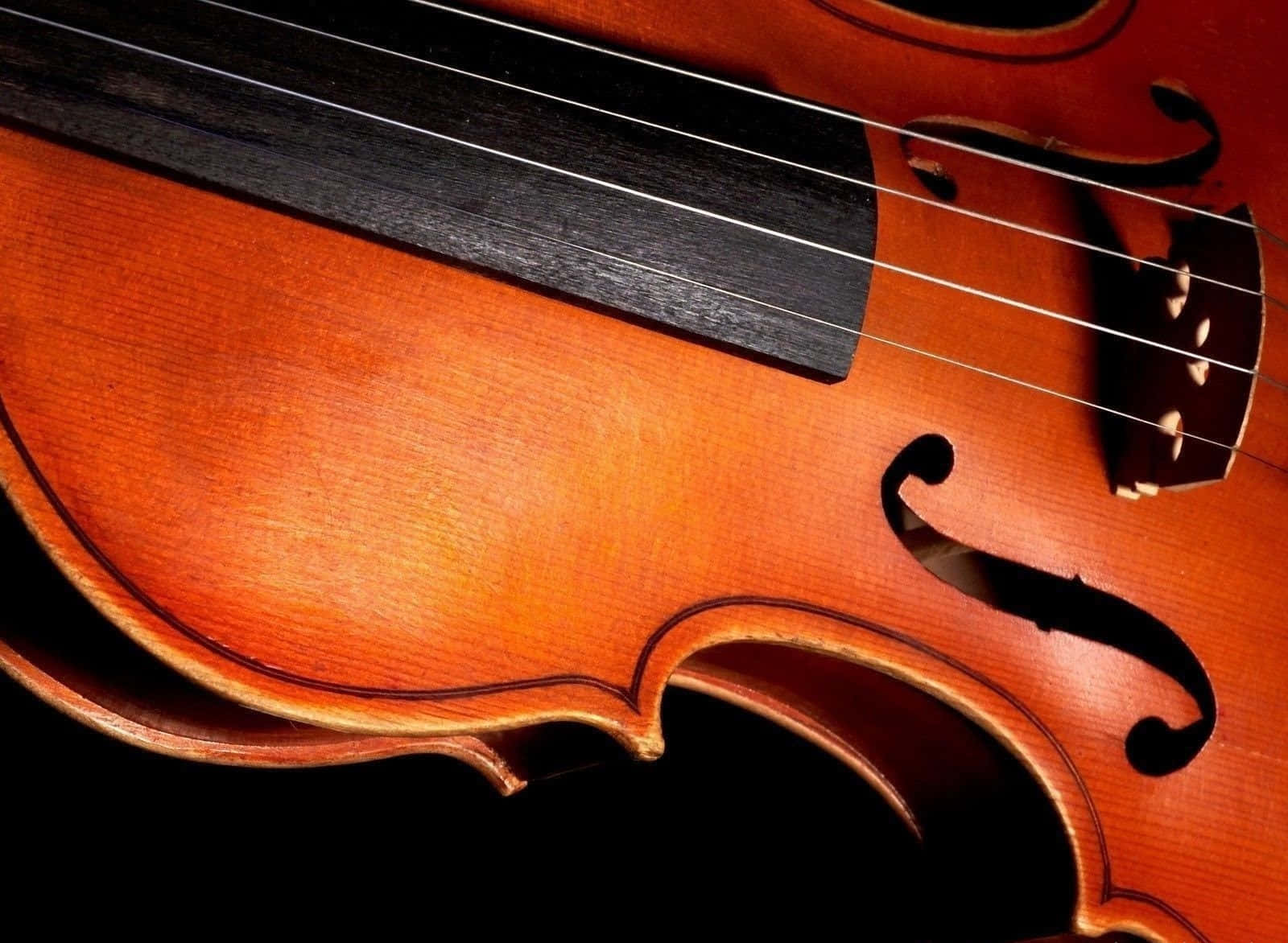 violin, amber wood grain, f-holes, HD Desktop Wallpaper