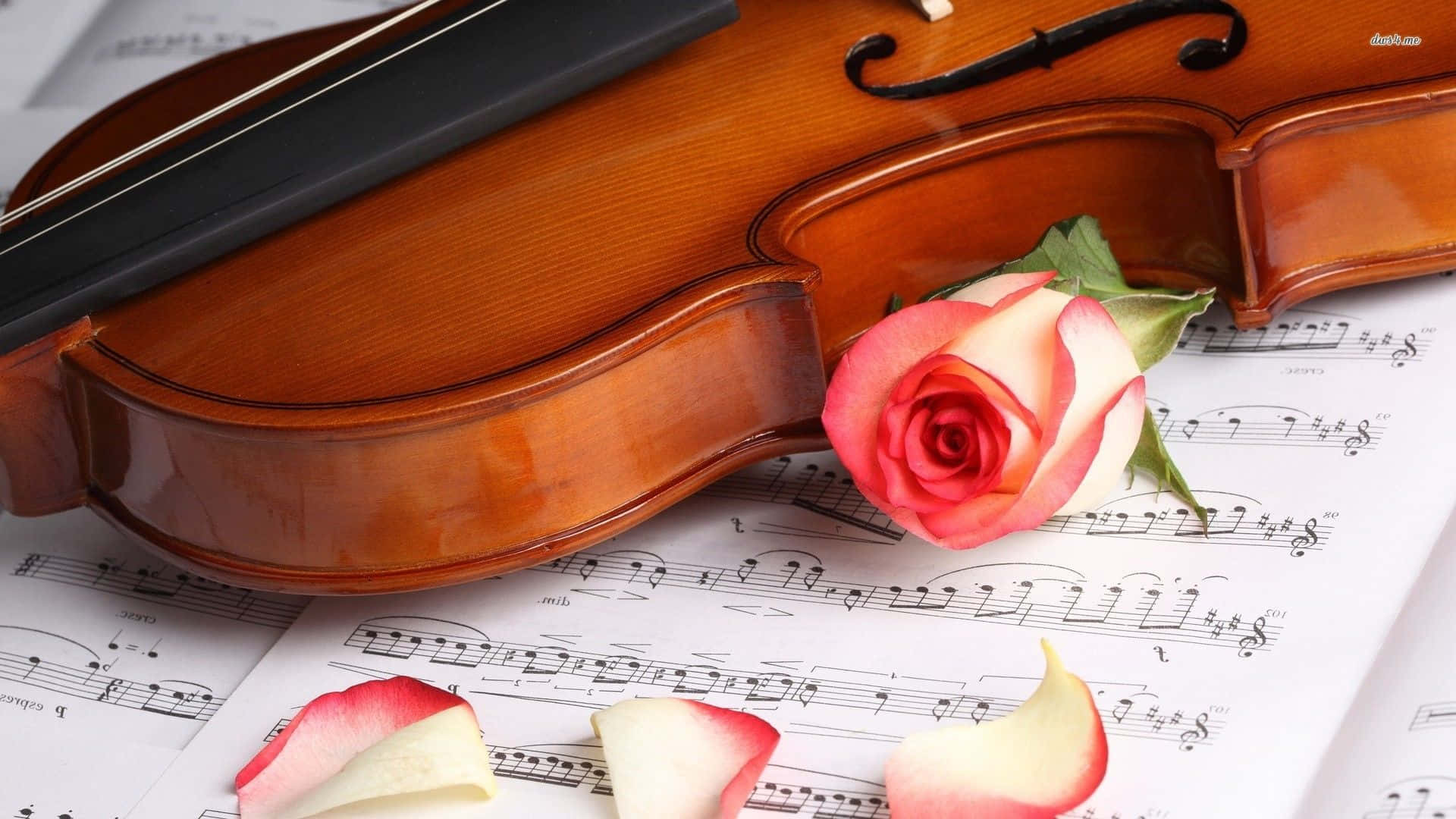 violin, sheet music, pink rose, Full HD Desktop Wallpaper
