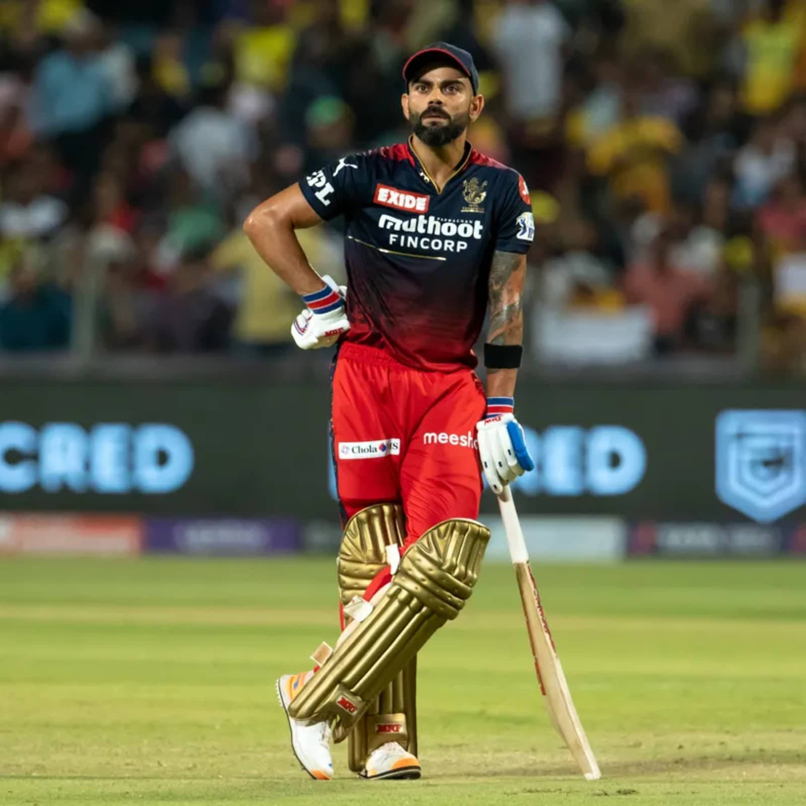 Virat Kohli, green field, bat, HD Desktop Wallpaper
