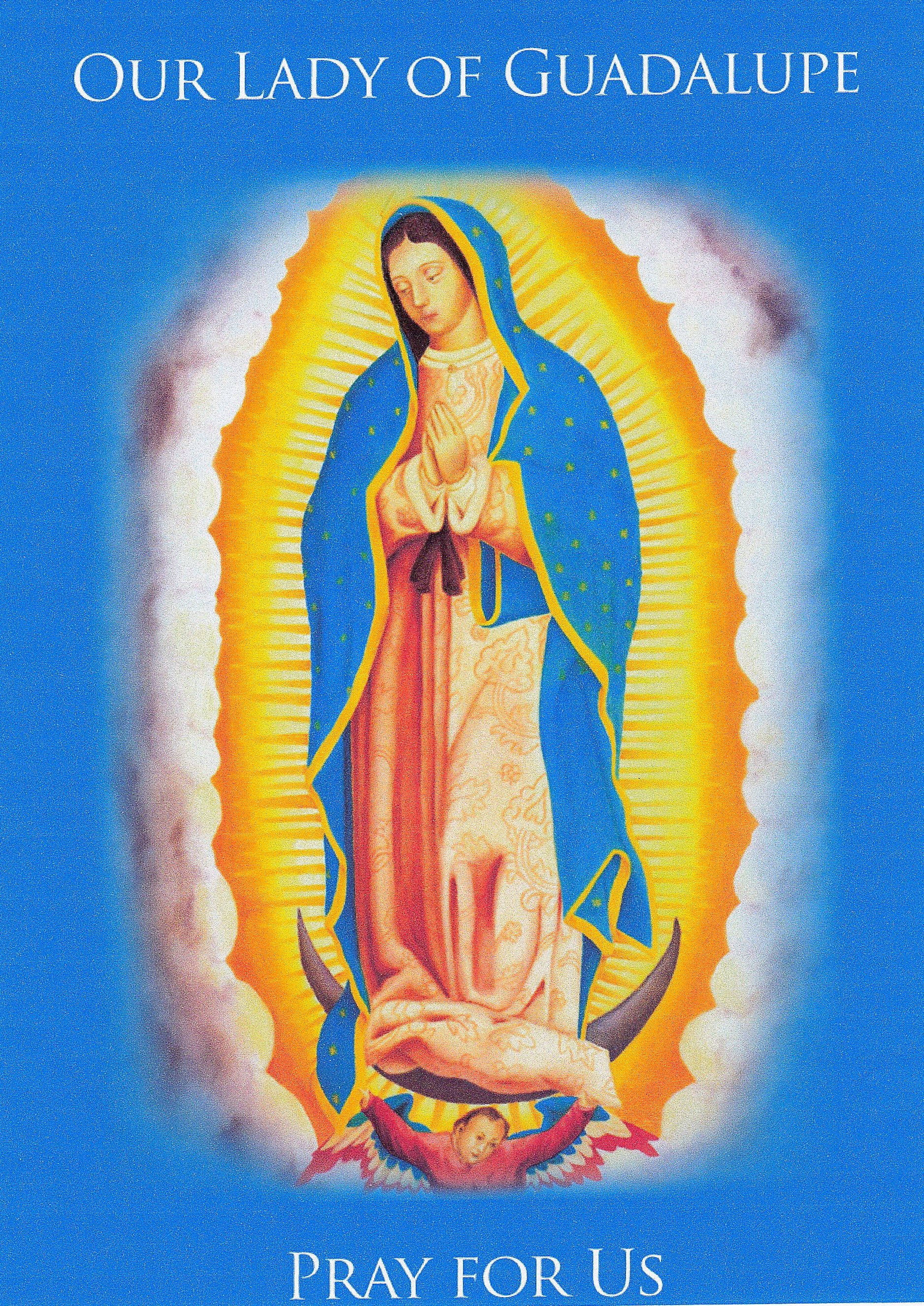 Virgen De Guadalupe, blue cloak, pink gown, 2K Phone Wallpaper