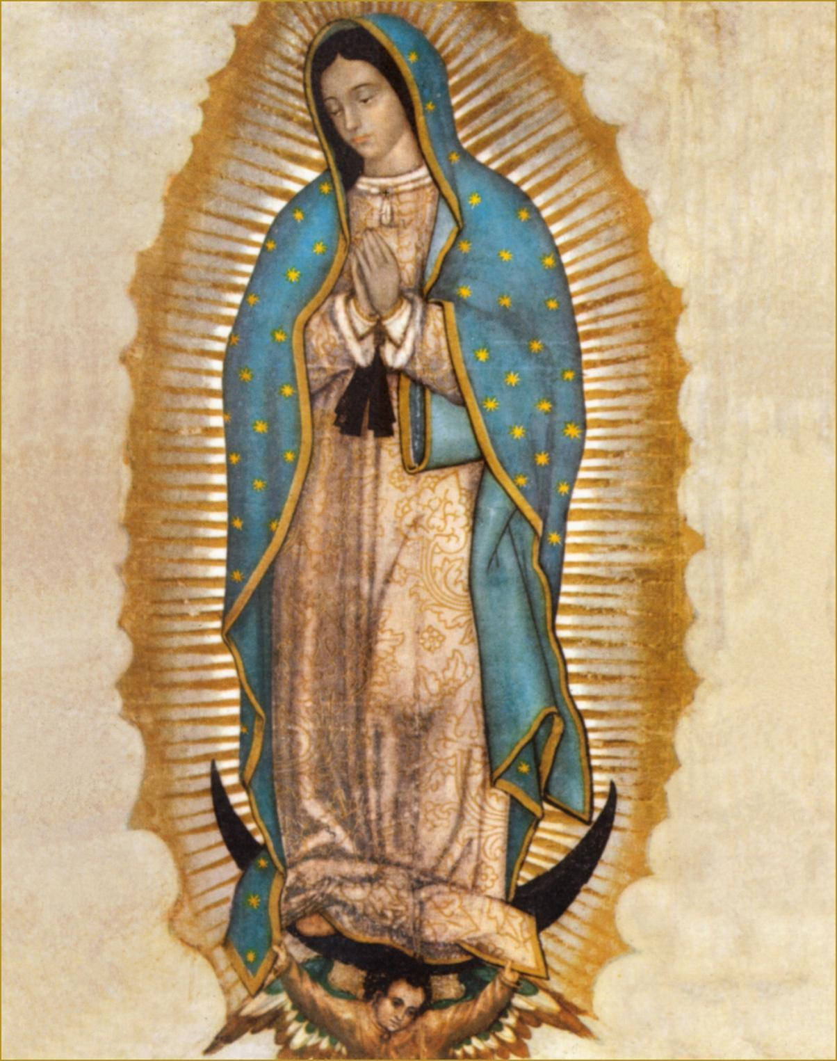 Virgen De Guadalupe, blue starry cloak, golden halo, HD Phone Wallpaper