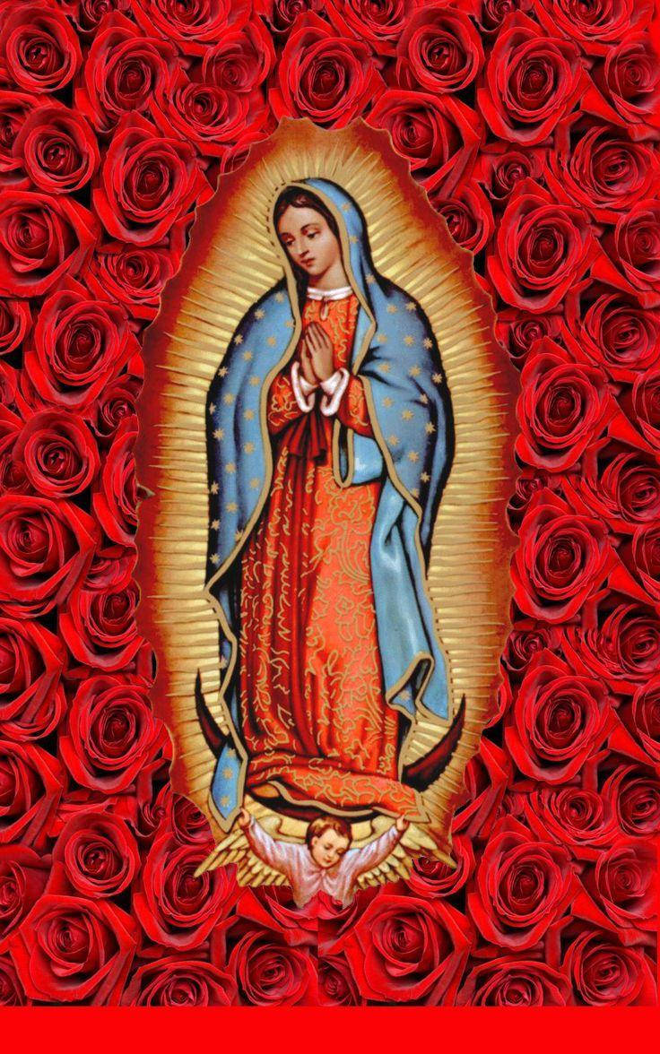 Virgen De Guadalupe, red roses, golden halo, SD Phone Wallpaper