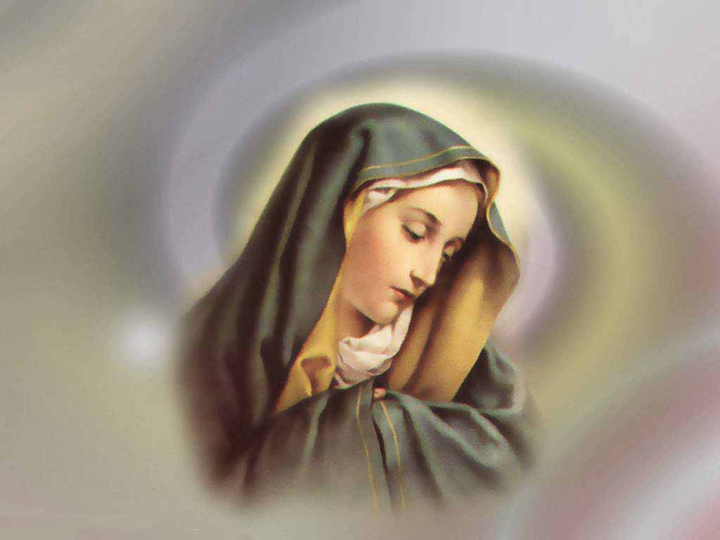 The Virgin Mary, halo, serene religious figure, SD Desktop Wallpaper