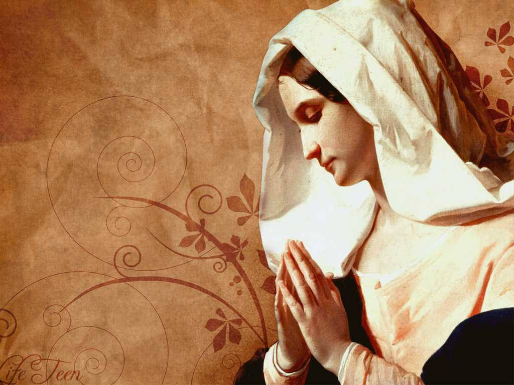 Virgin Mary, white veil, clasped hands, SD Desktop Wallpaper