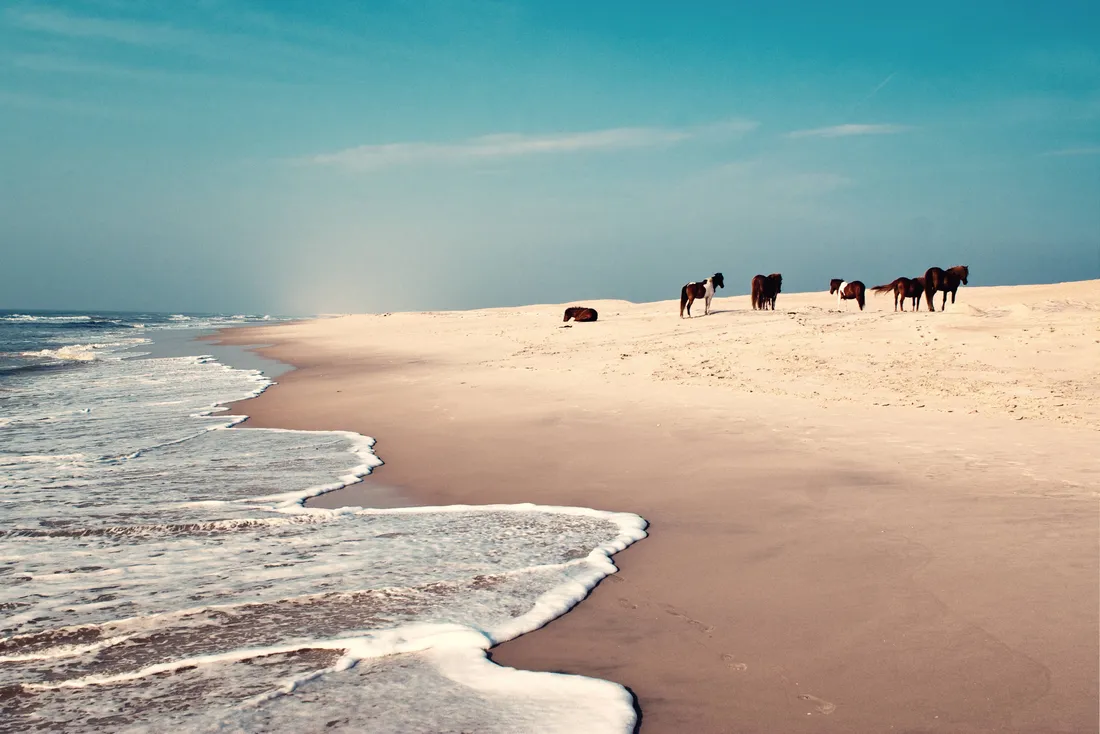 Virginia Beach