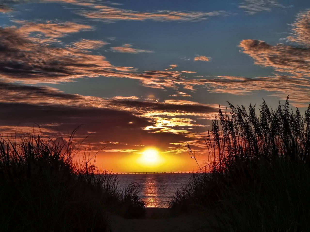 Virginia Beach, sunset, tall grass, HD Desktop Wallpaper
