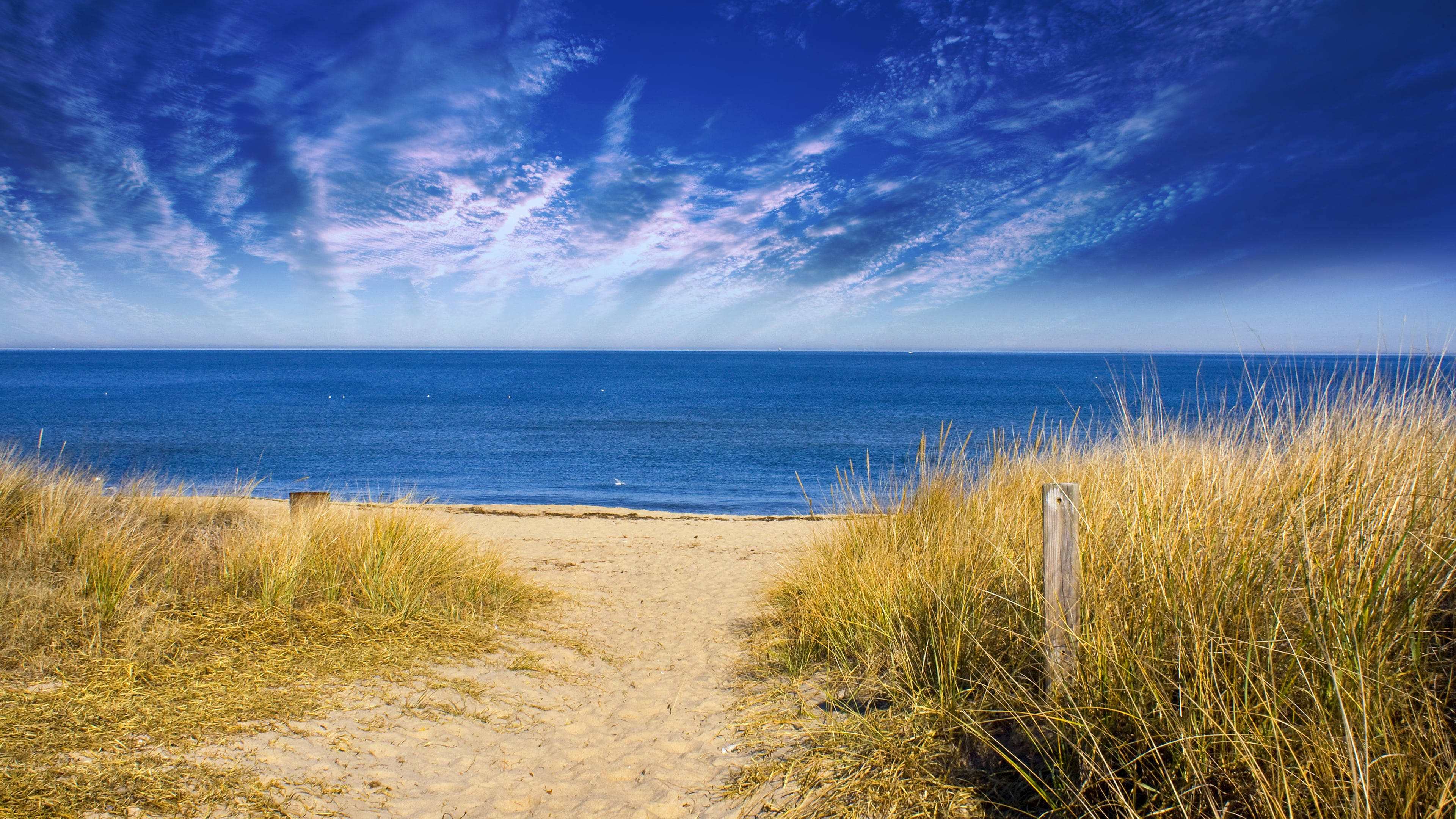 Virginia Beach, blue sky, golden dunes, 4K Desktop Wallpaper