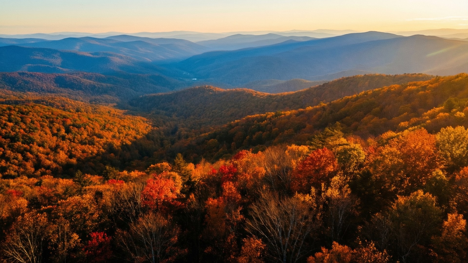 autumn splendor, shenandoah, fiery orange, Full HD Desktop Wallpaper