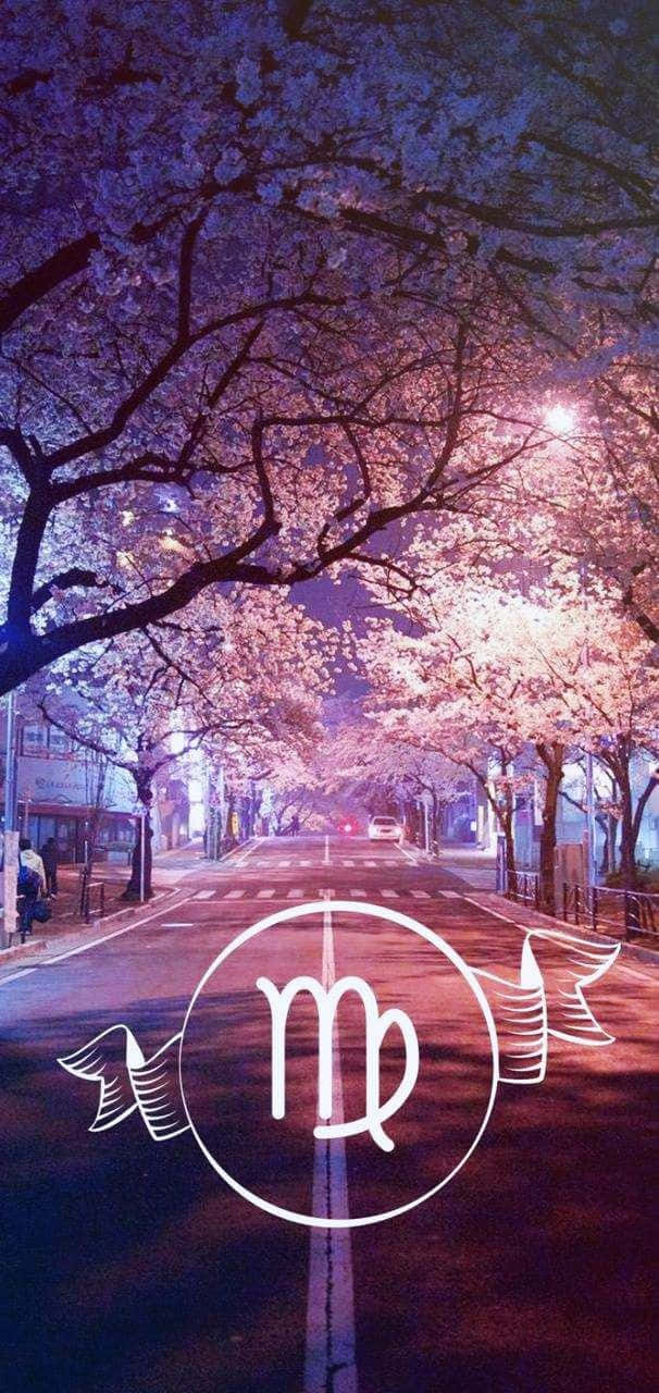 Virgo Aesthetic, cherry blossom trees, soft purple lights, HD Phone Wallpaper