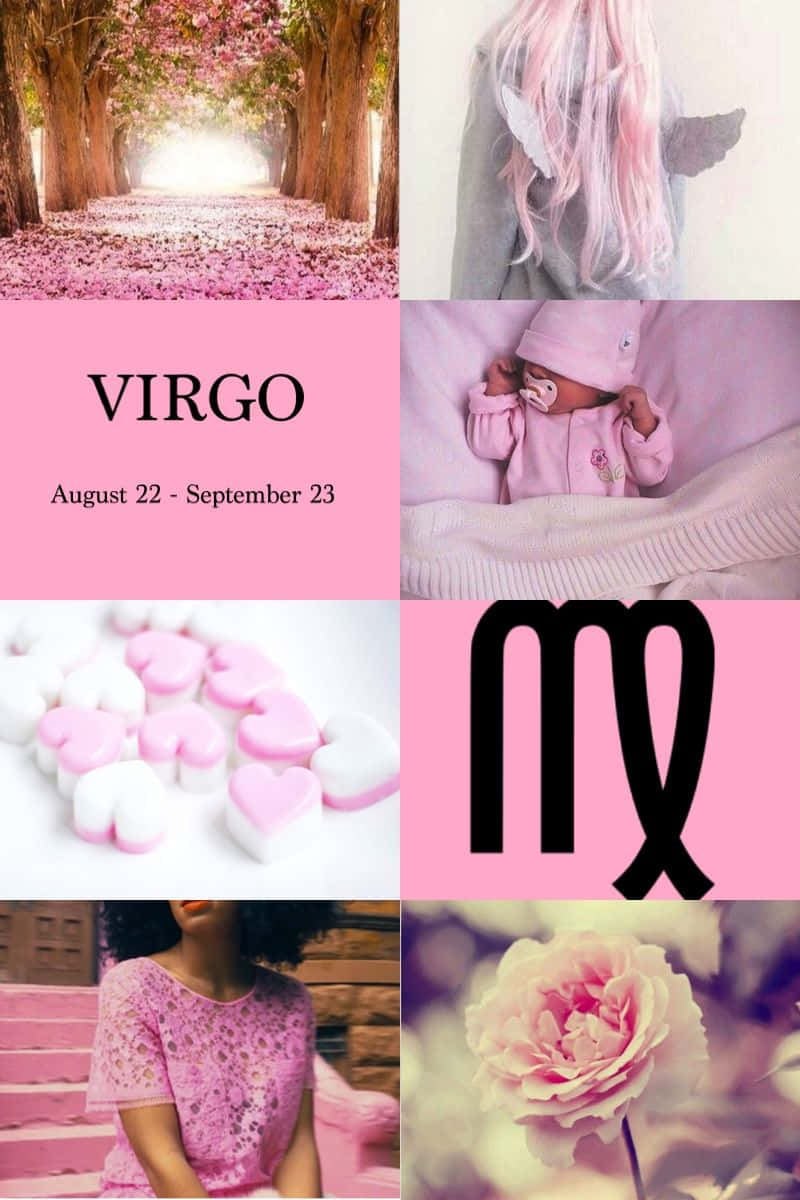 Virgo, pink-themed, cherry blossoms, SD Phone Wallpaper