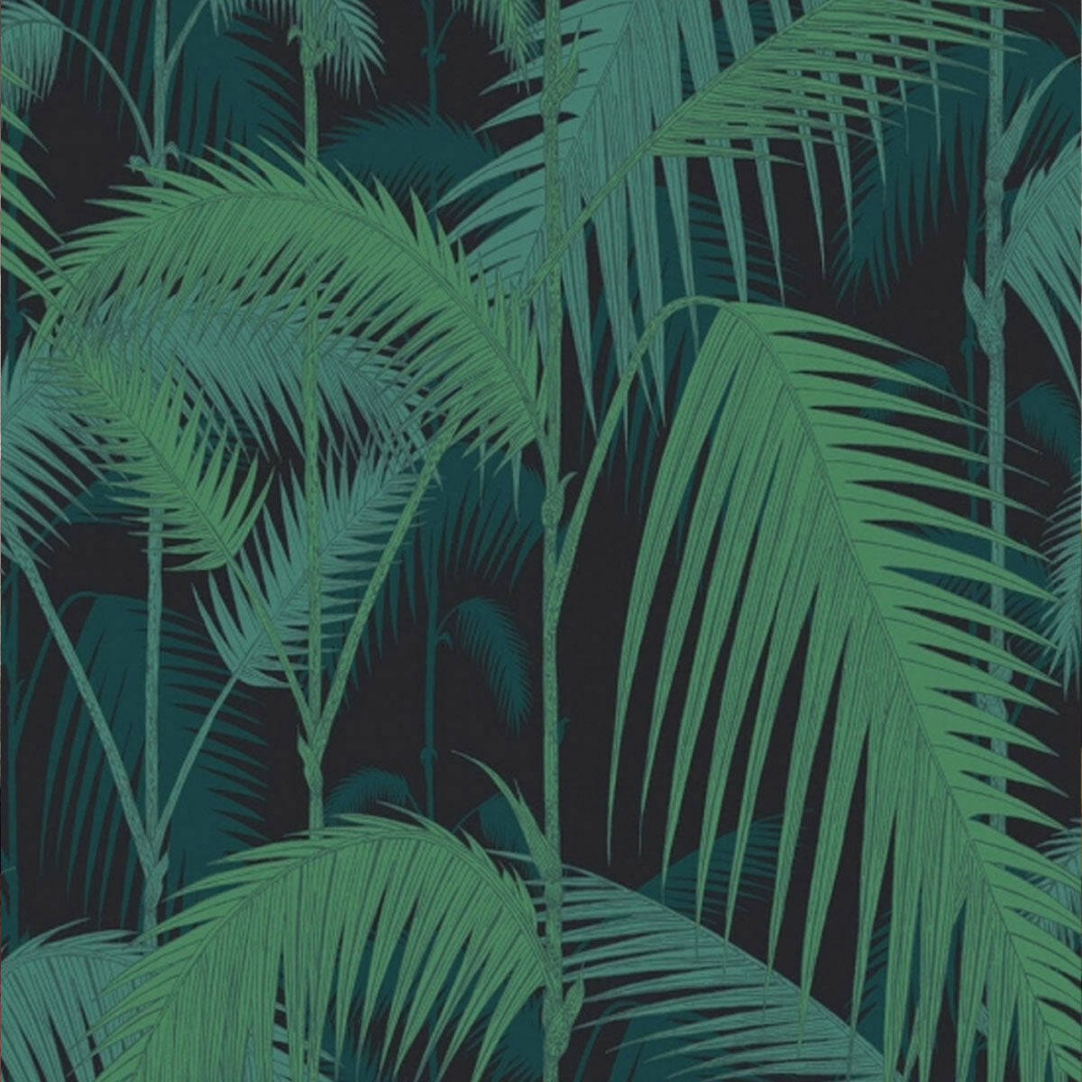 Viridian, palm fronds, teal background, SD Desktop Wallpaper