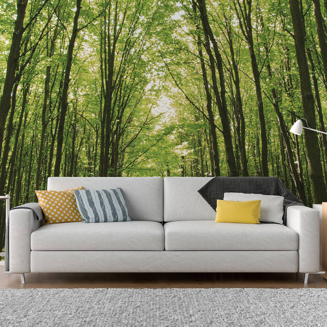 Viridian, white sofa, colorful pillows, SD Desktop Wallpaper